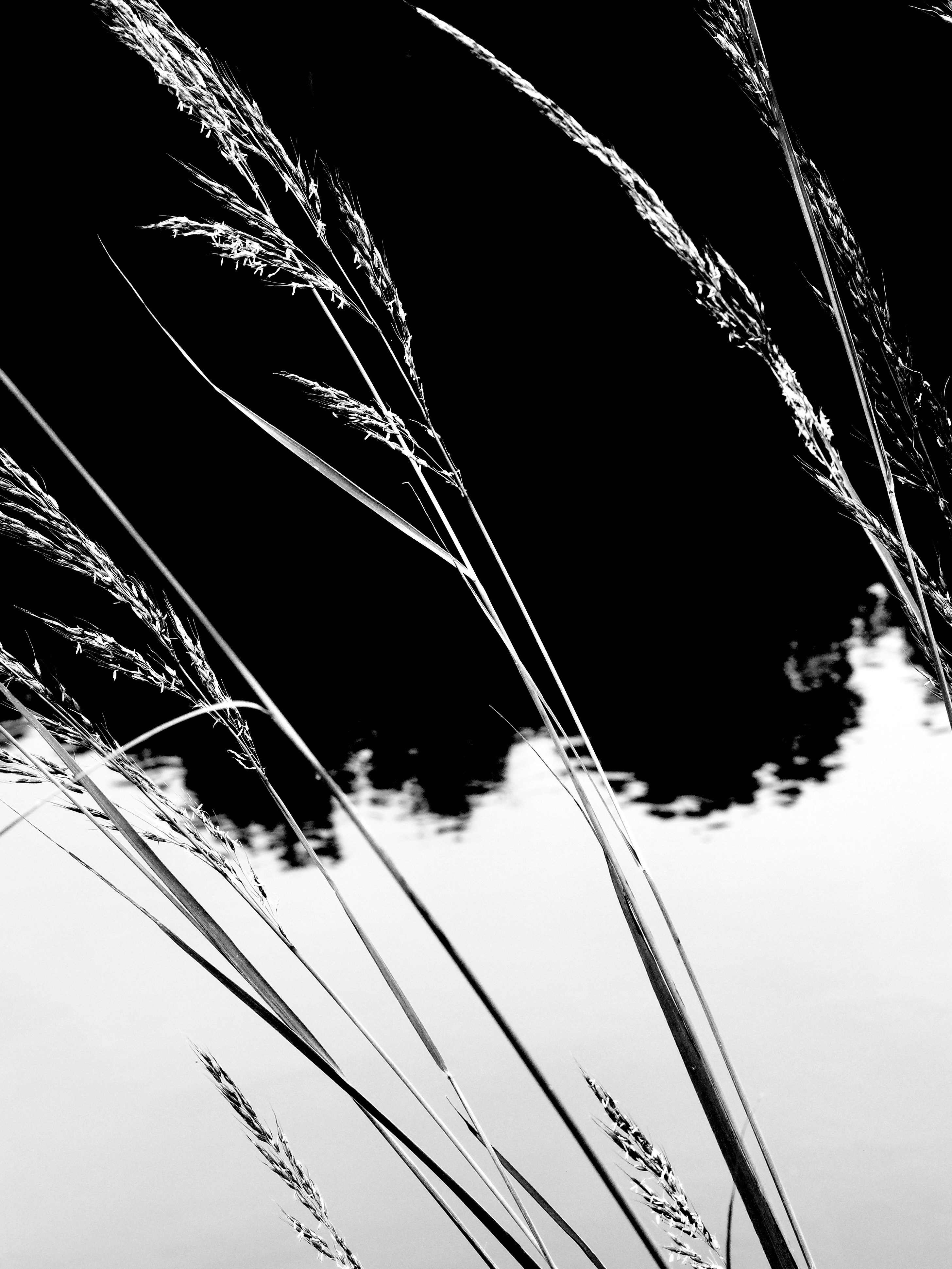 Photo by sschusterphotoart