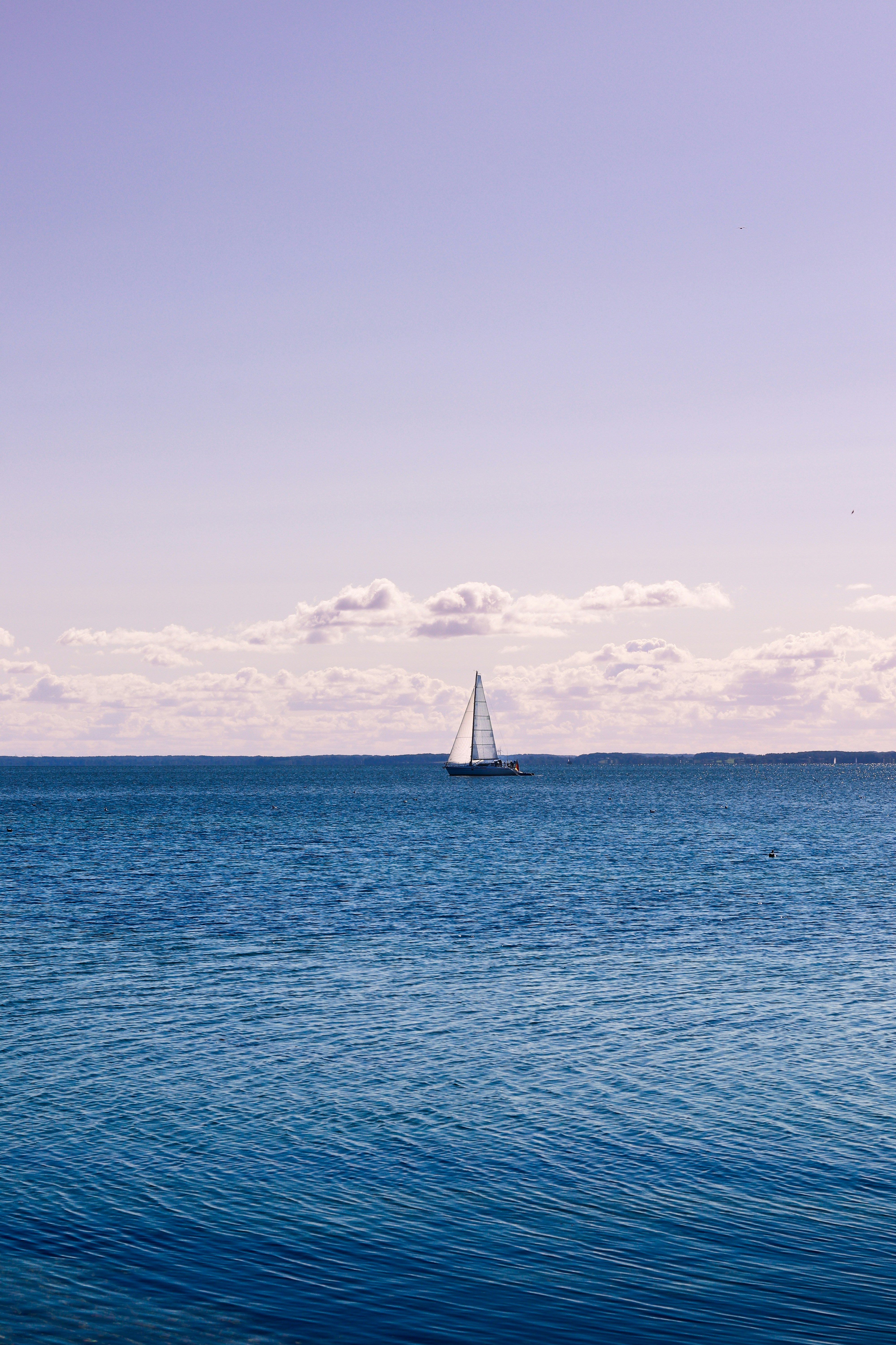 Photo by ferchof_raw