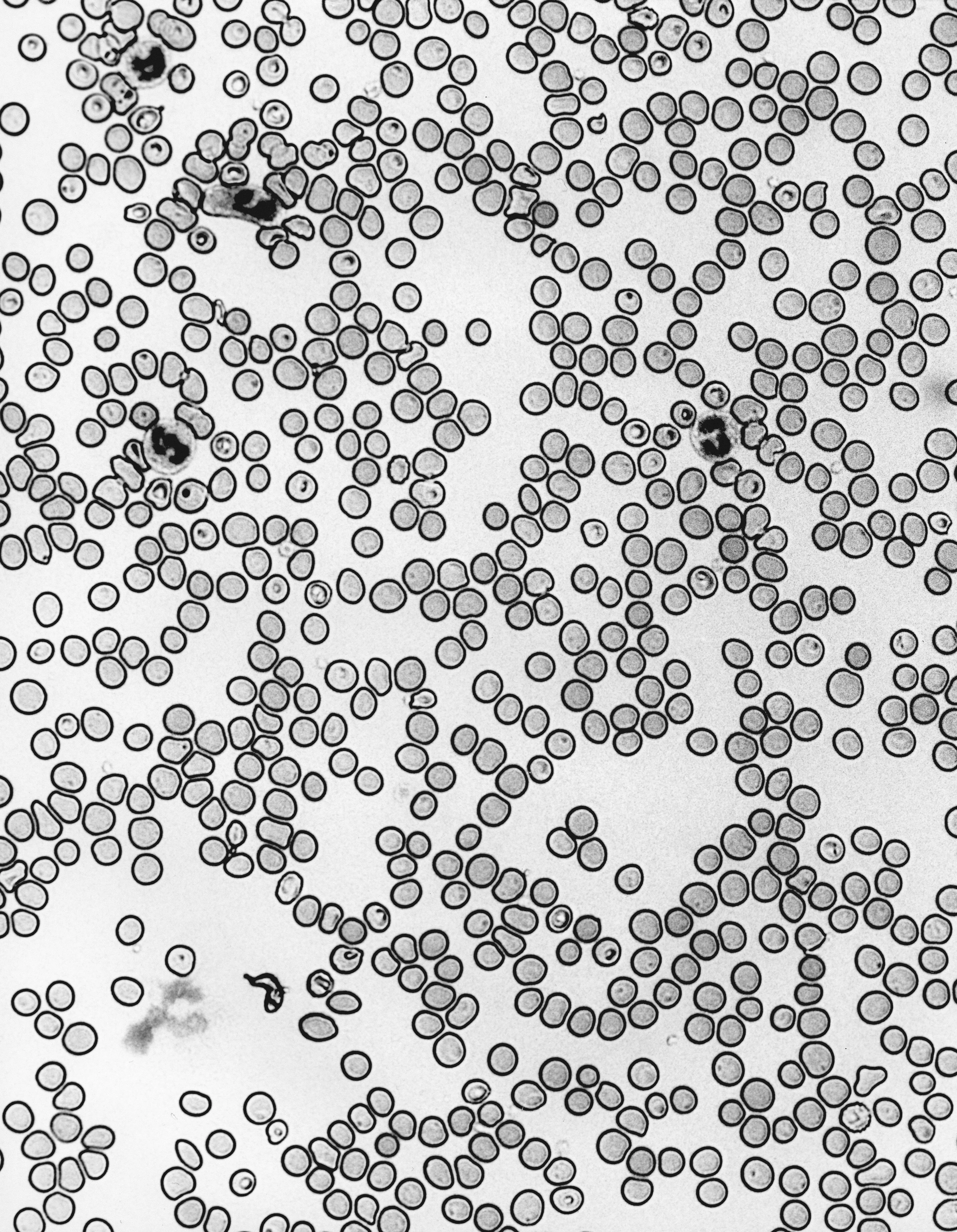 Abstract microscopy placeholder background from Unsplash