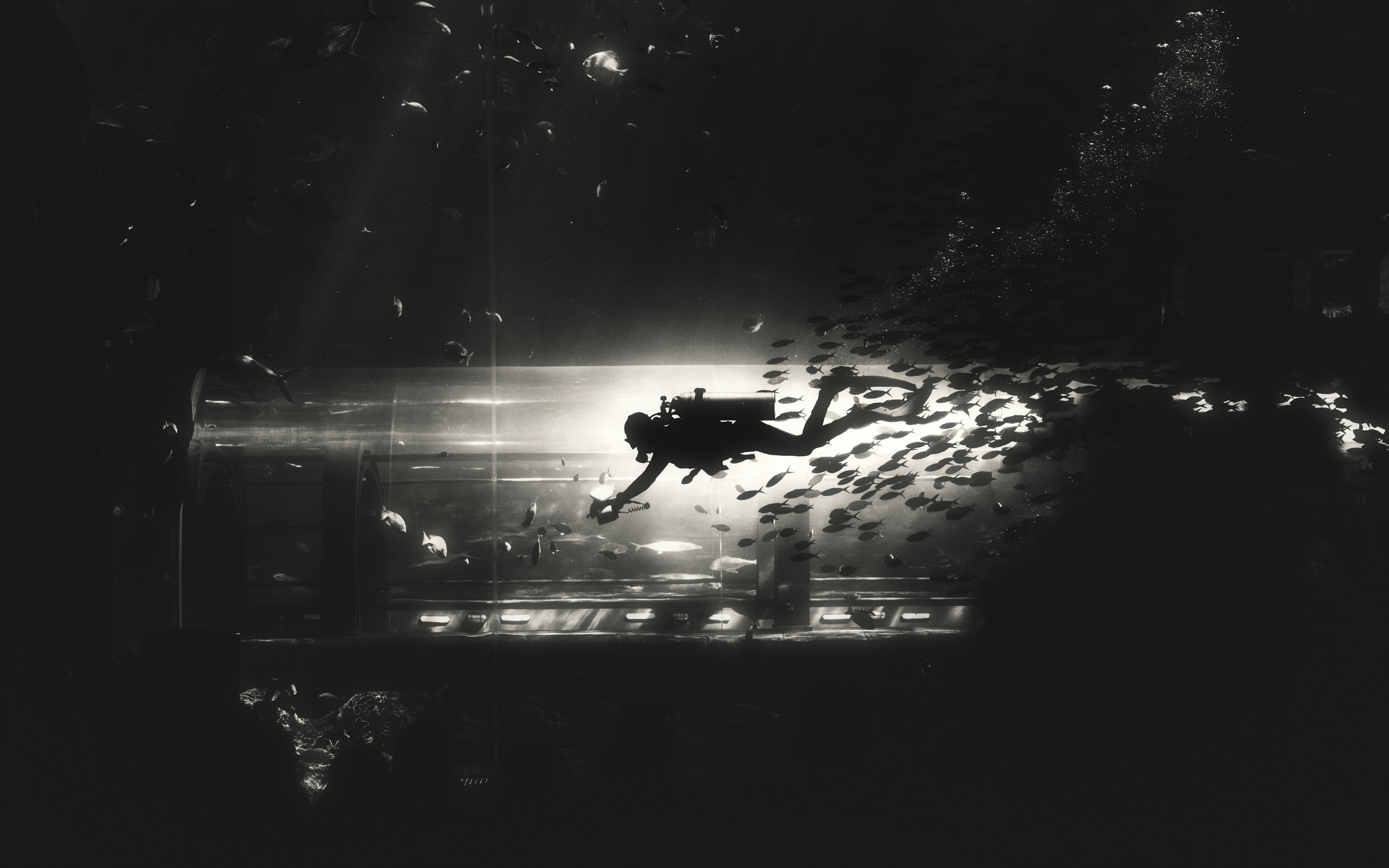 Scuba diver swims through dark, bubbly ocean depths.