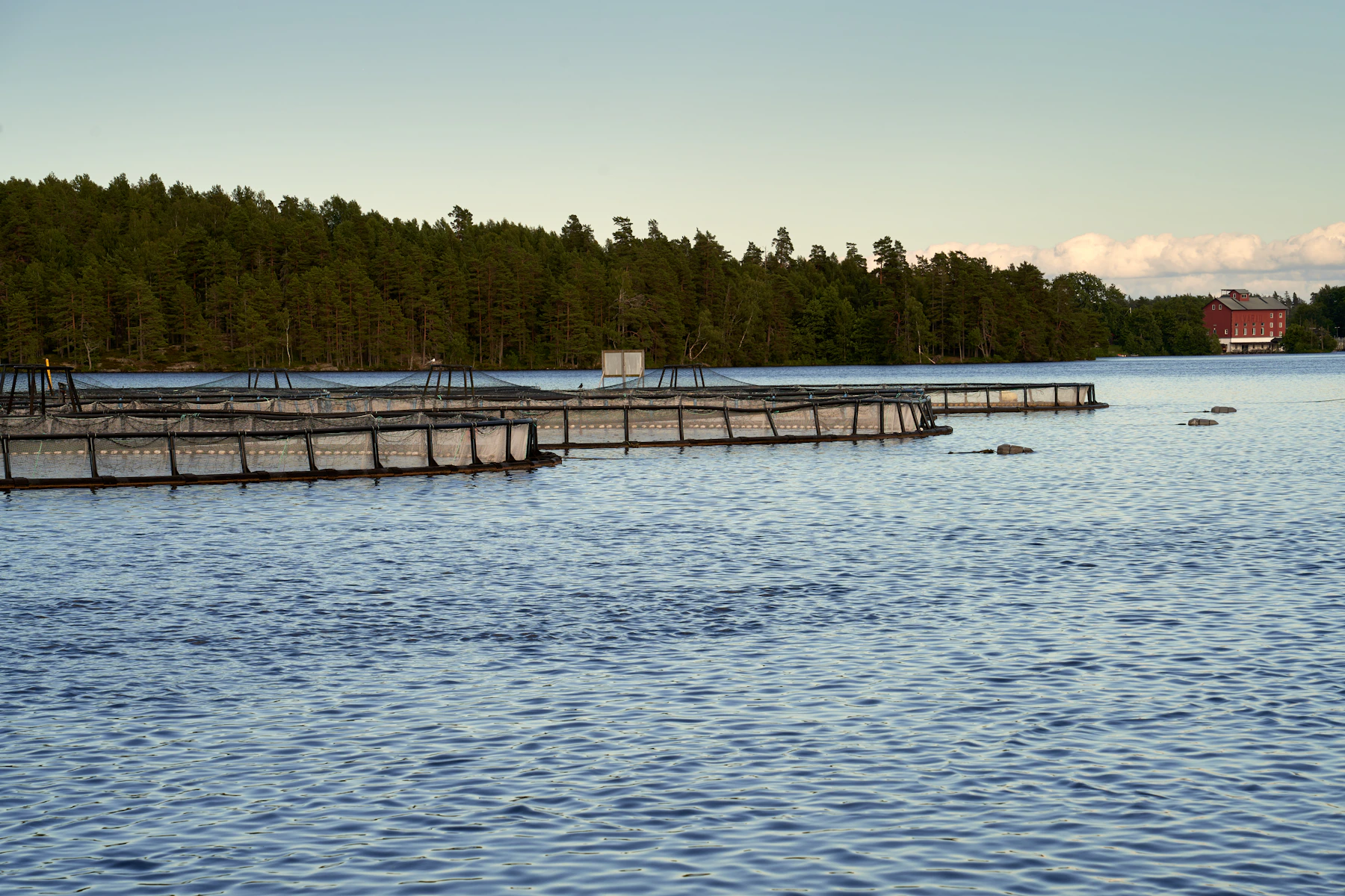 Fish farm cages on a calm blue lake