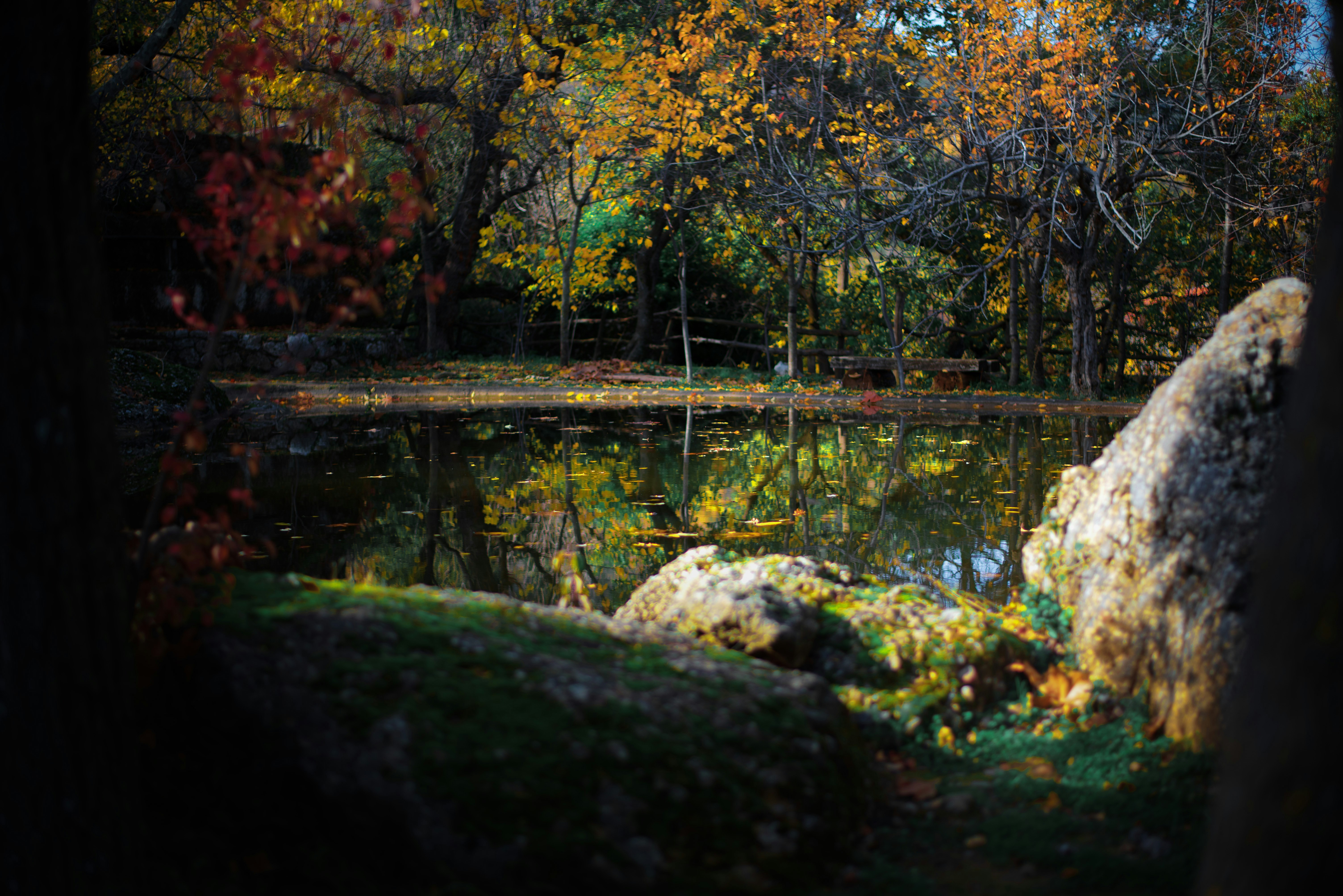 Photo by yorgostriantafyllou