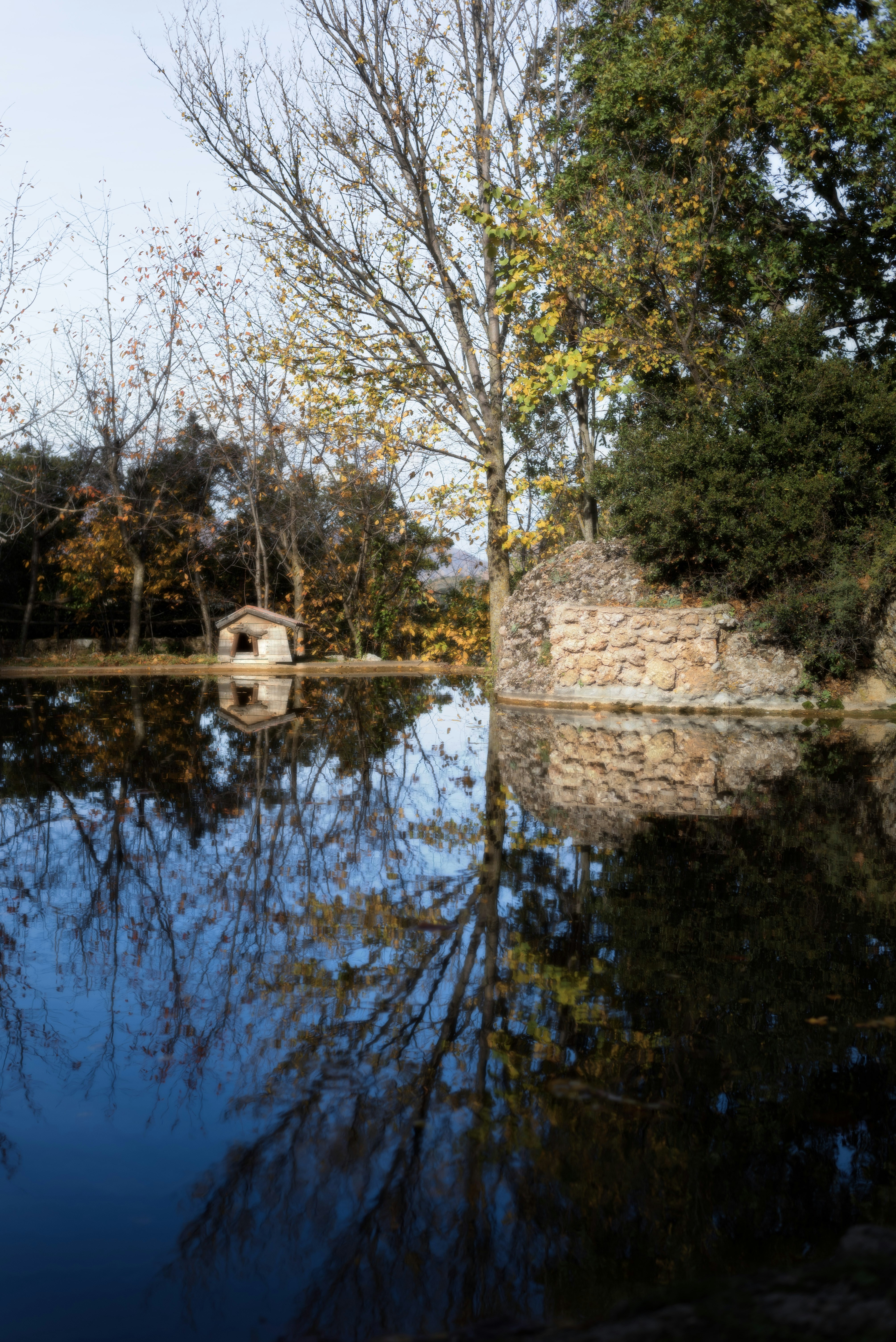 Photo by yorgostriantafyllou