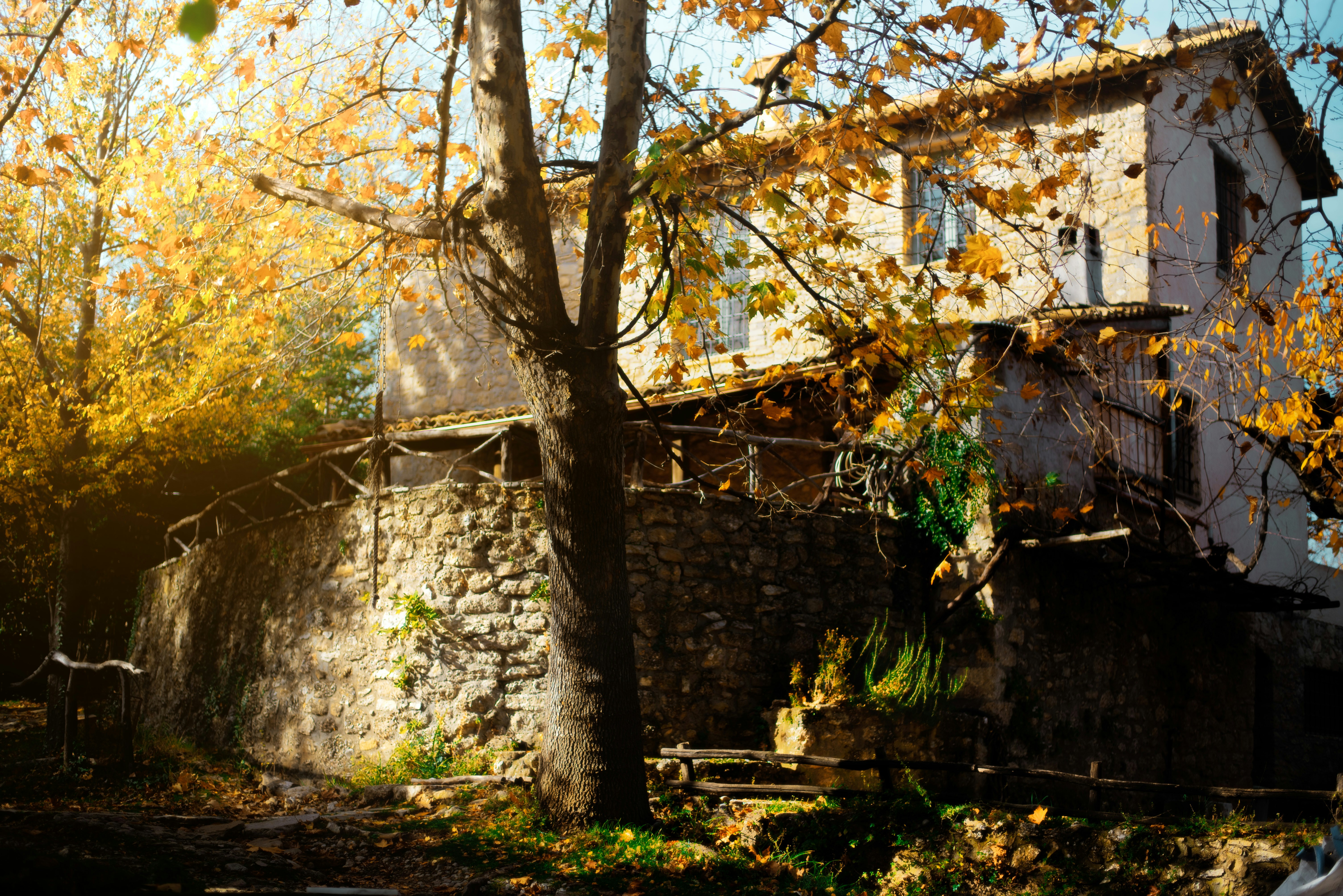 Photo by yorgostriantafyllou