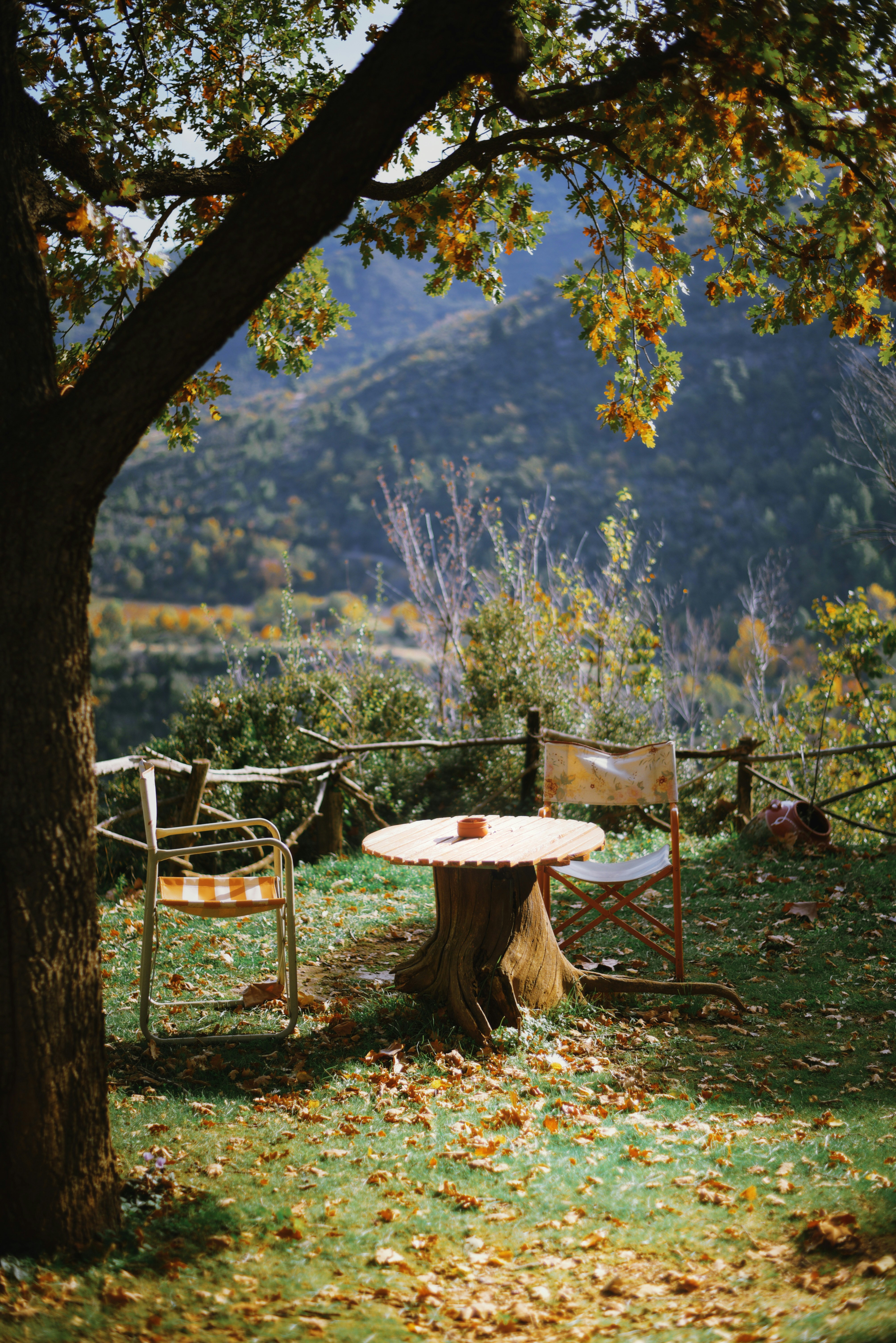 Area salotto all'aperto con vista sull'albero e sulle montagne.