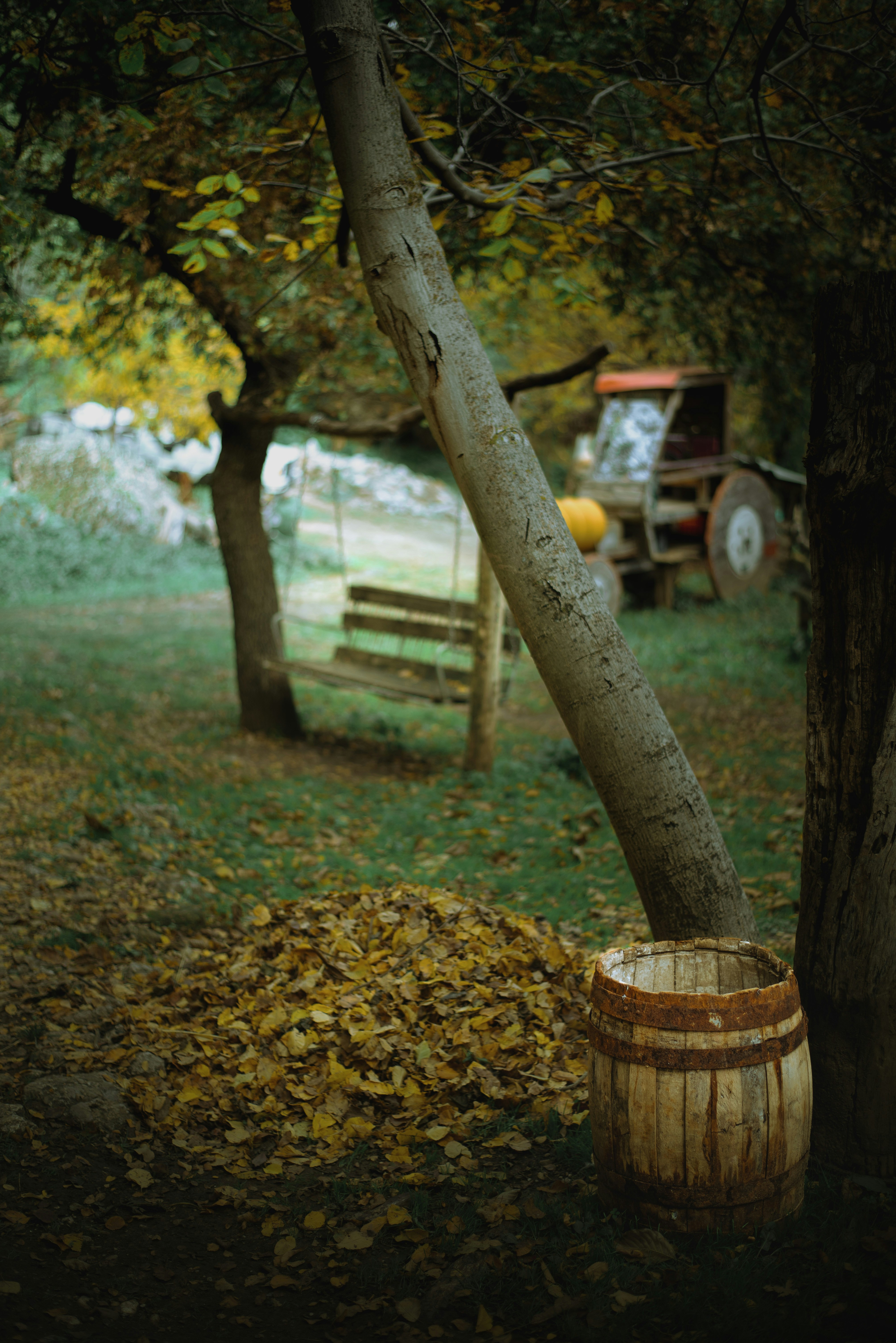 Botte di legno e foglie cadute vicino a un vecchio trattore.