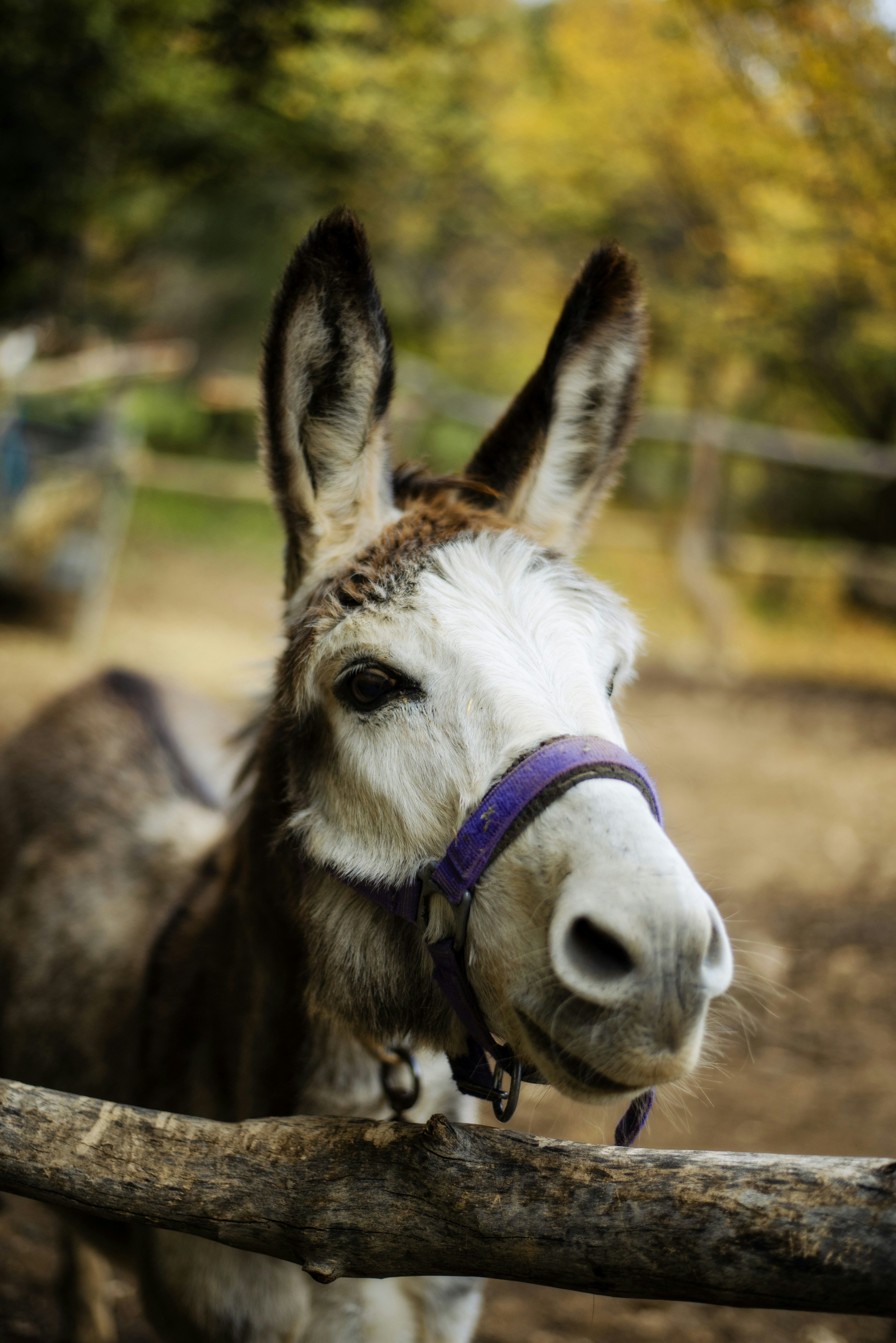 photo-1758660186672-5b787a7271cc?ixid=M3wxMjA3fDB8MXxzZWFyY2h8Mnx8aGVhZHNob3QlMjBjaGFuZ2VzfGVufDB8fHx8MTc2NTMzNjE5N3ww\u0026ixlib=rb-4.1.0