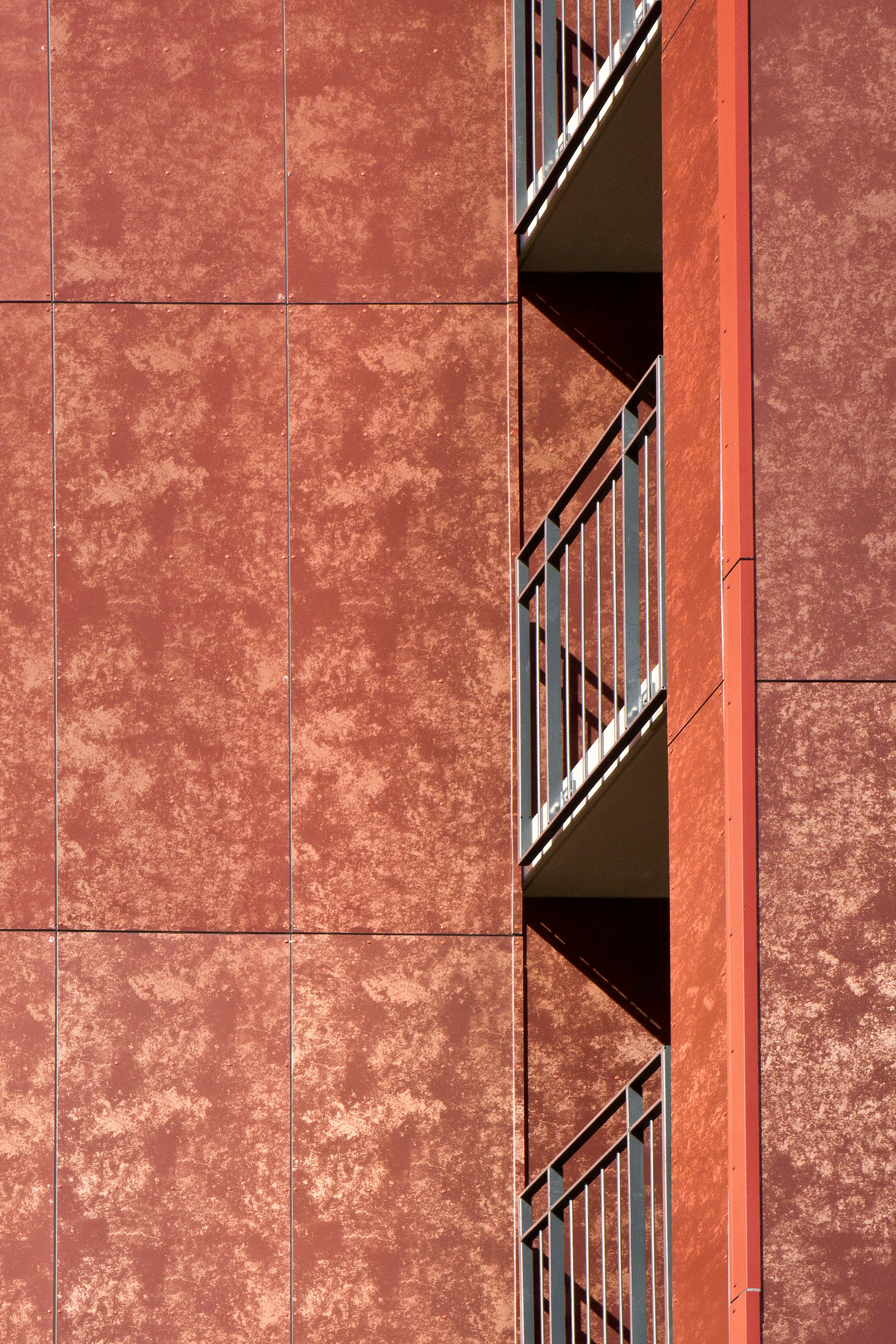 Photo by conniedevries