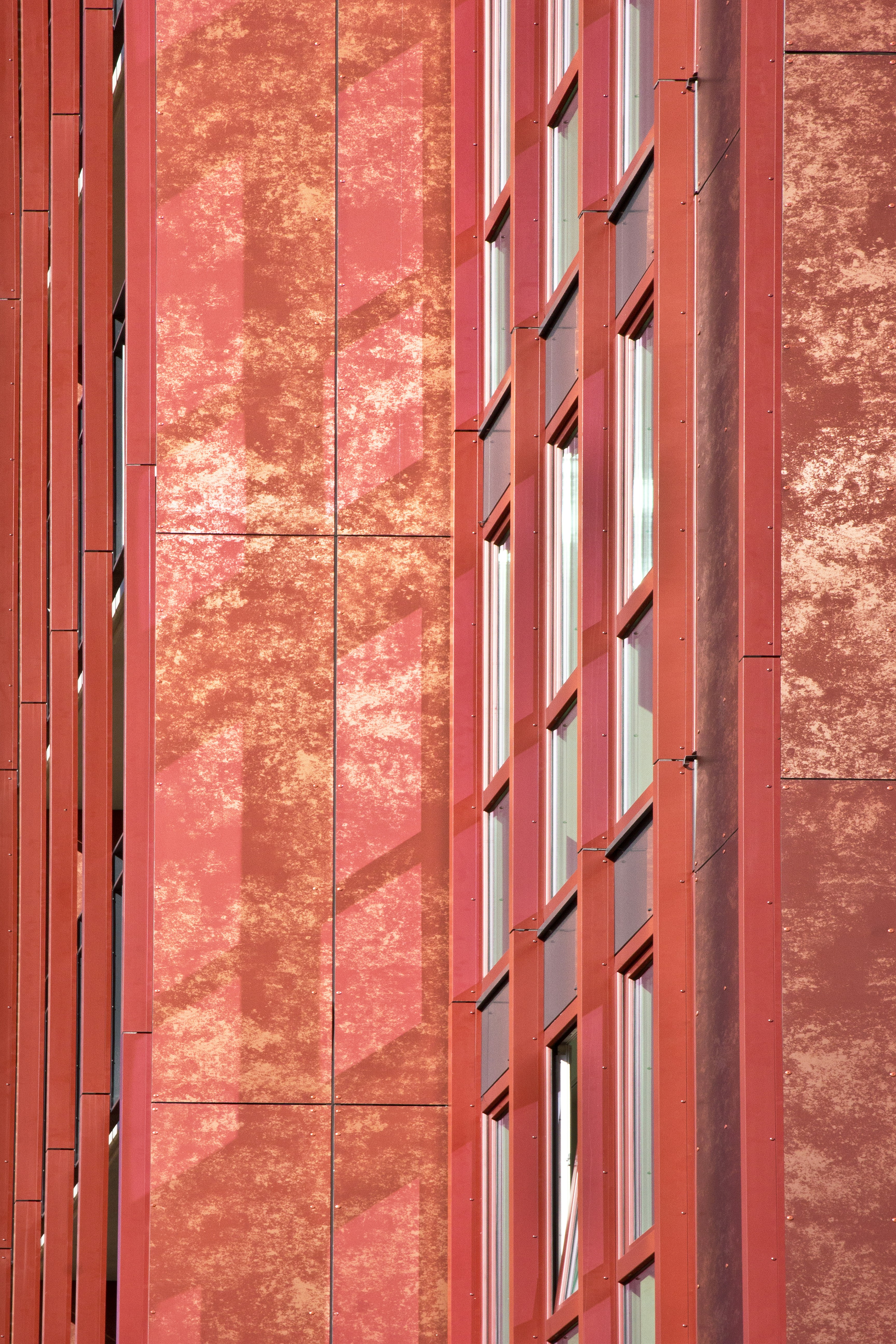 Photo by conniedevries