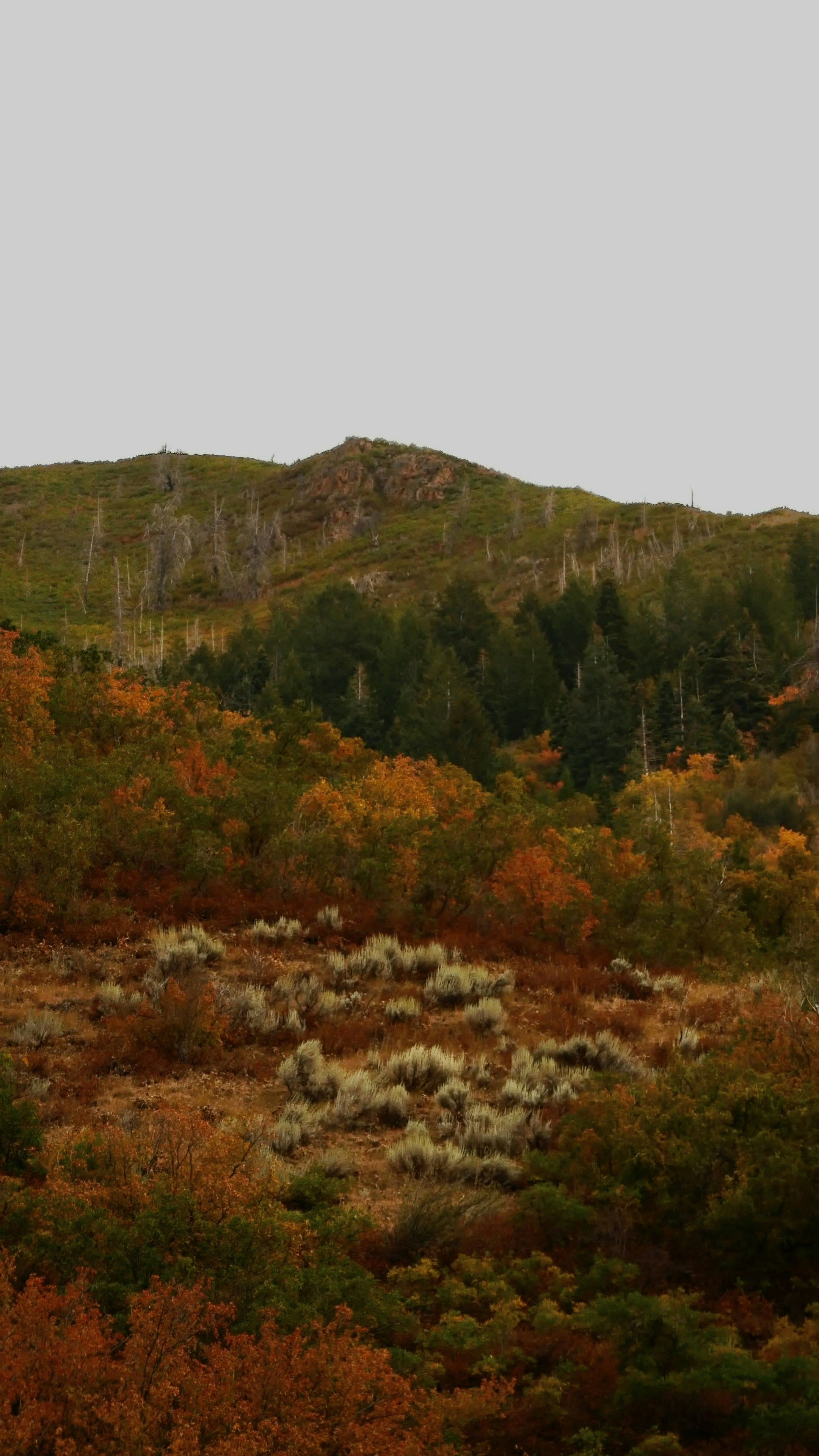 Prevention Before the Spark