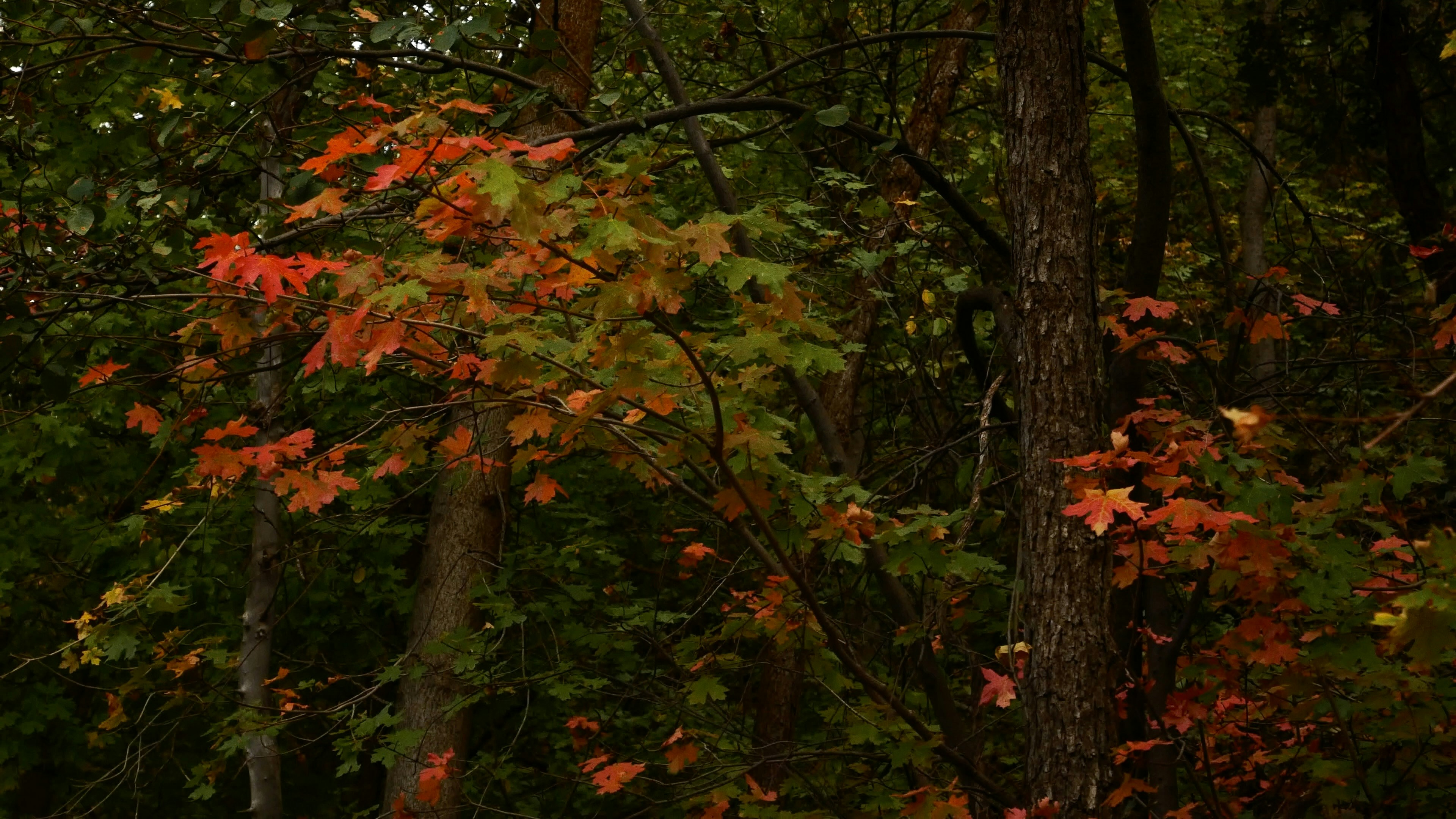 Photo by margaretann110