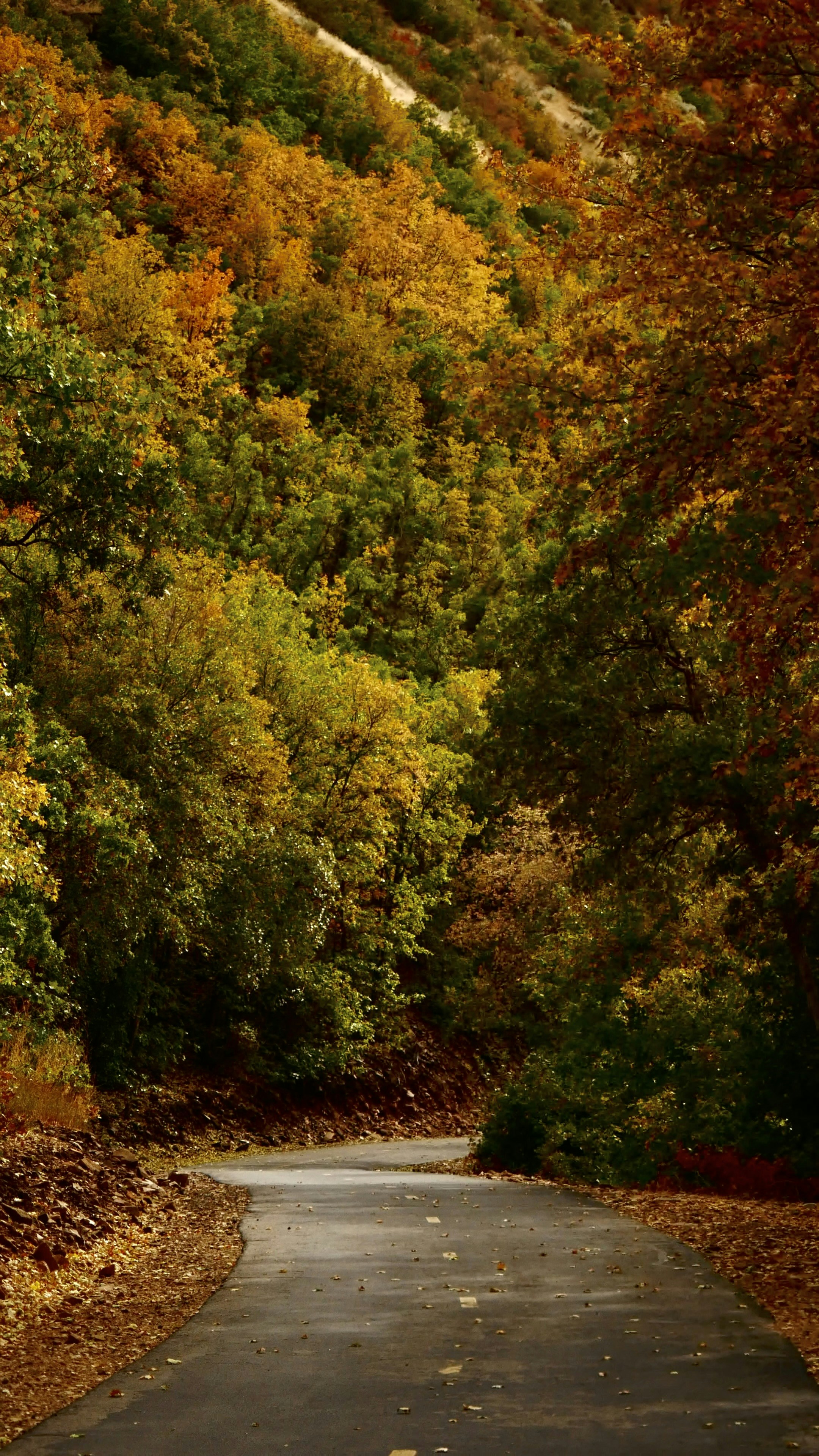 Photo by margaretann110