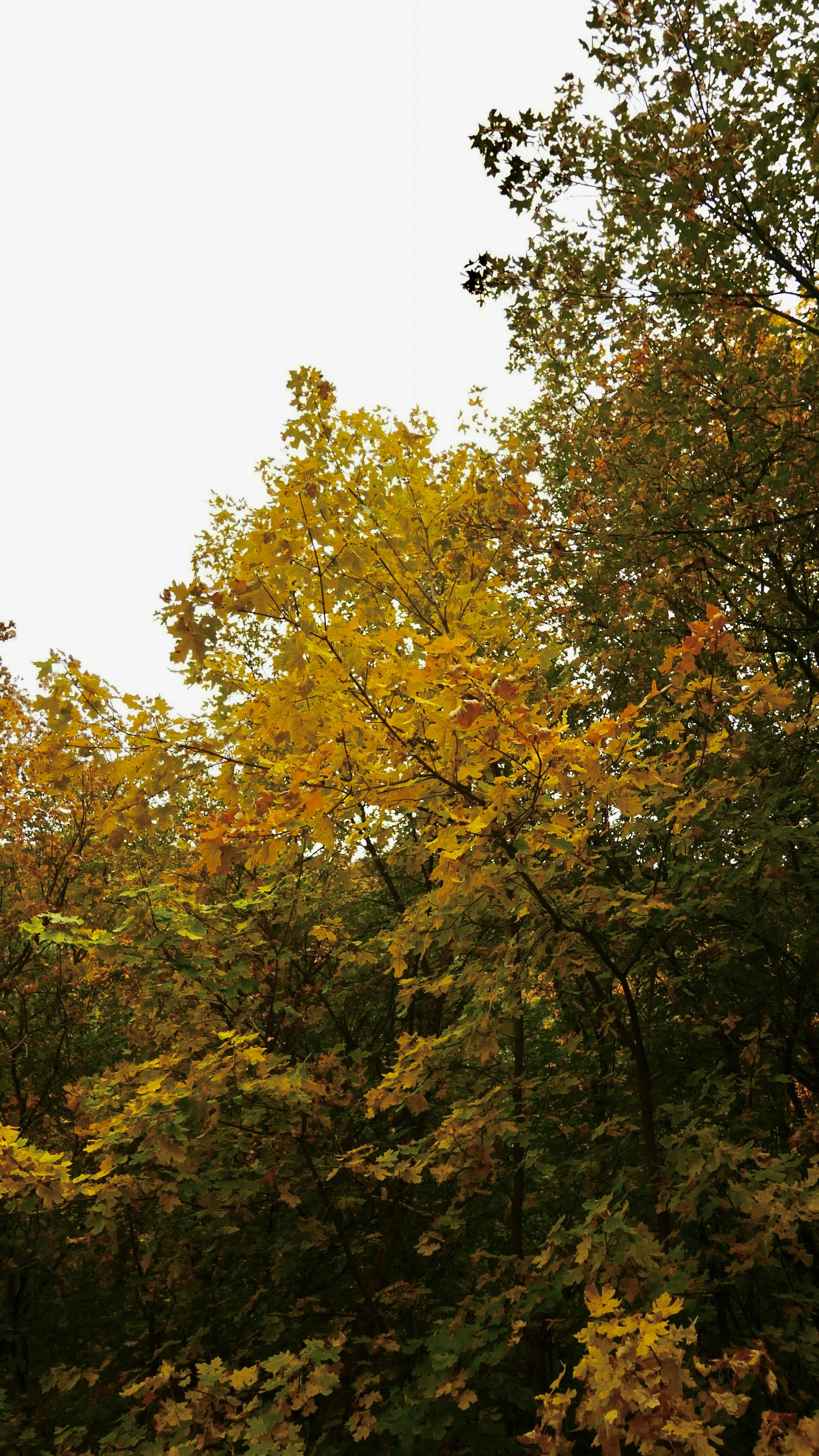 Photo by margaretann110