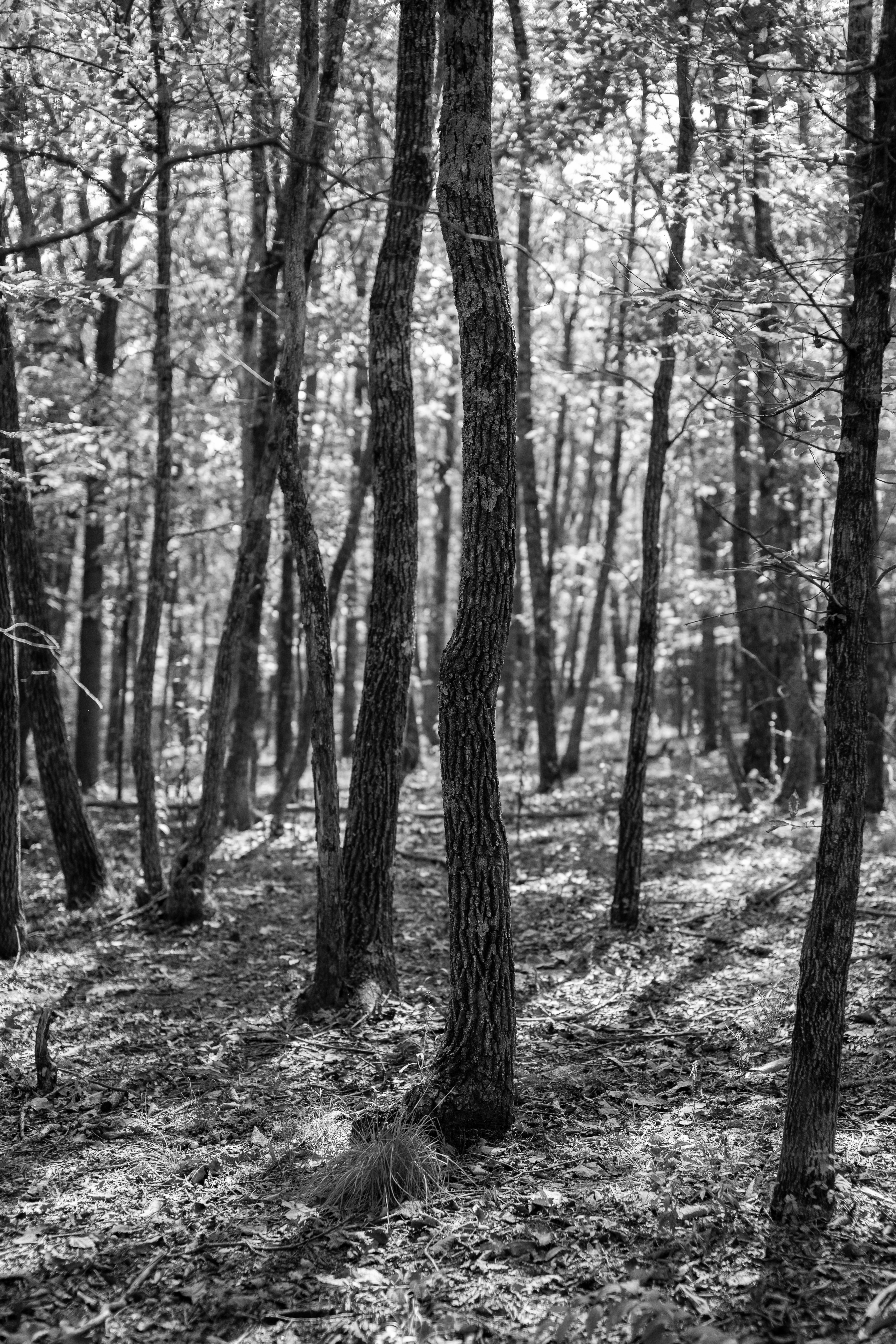 Photo by caitlinferwin