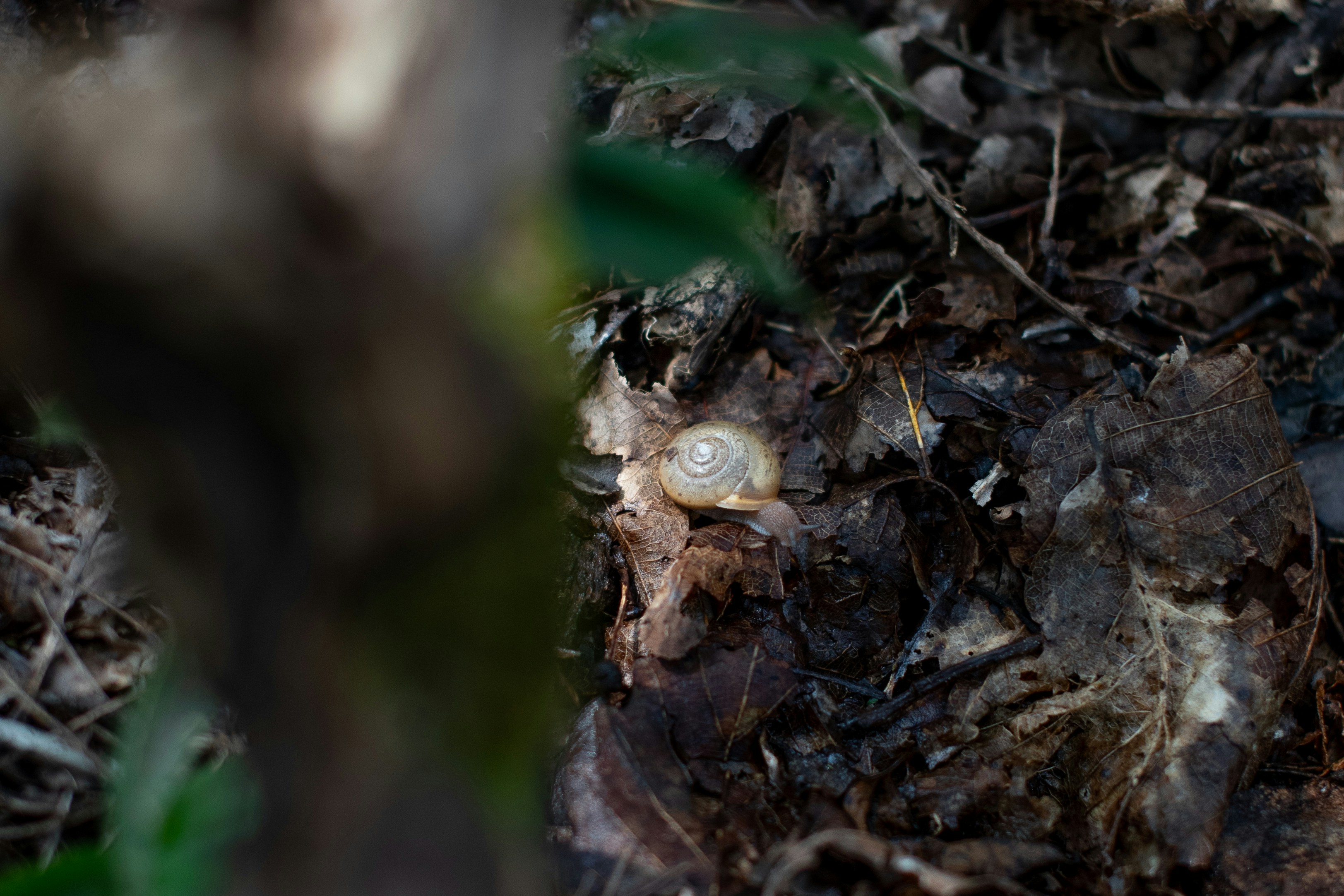 Photo by caitlinferwin