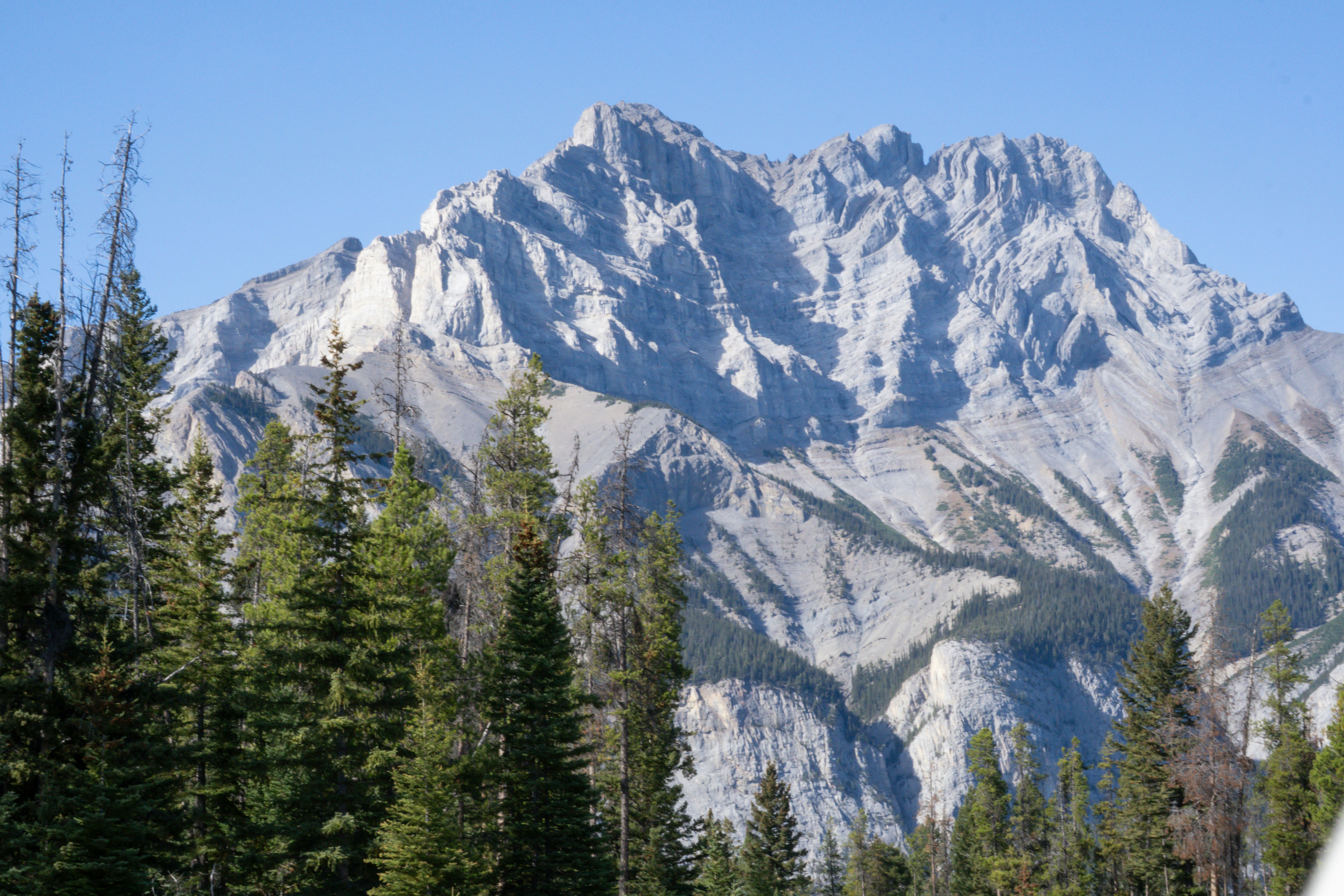 Photo by brettmayson