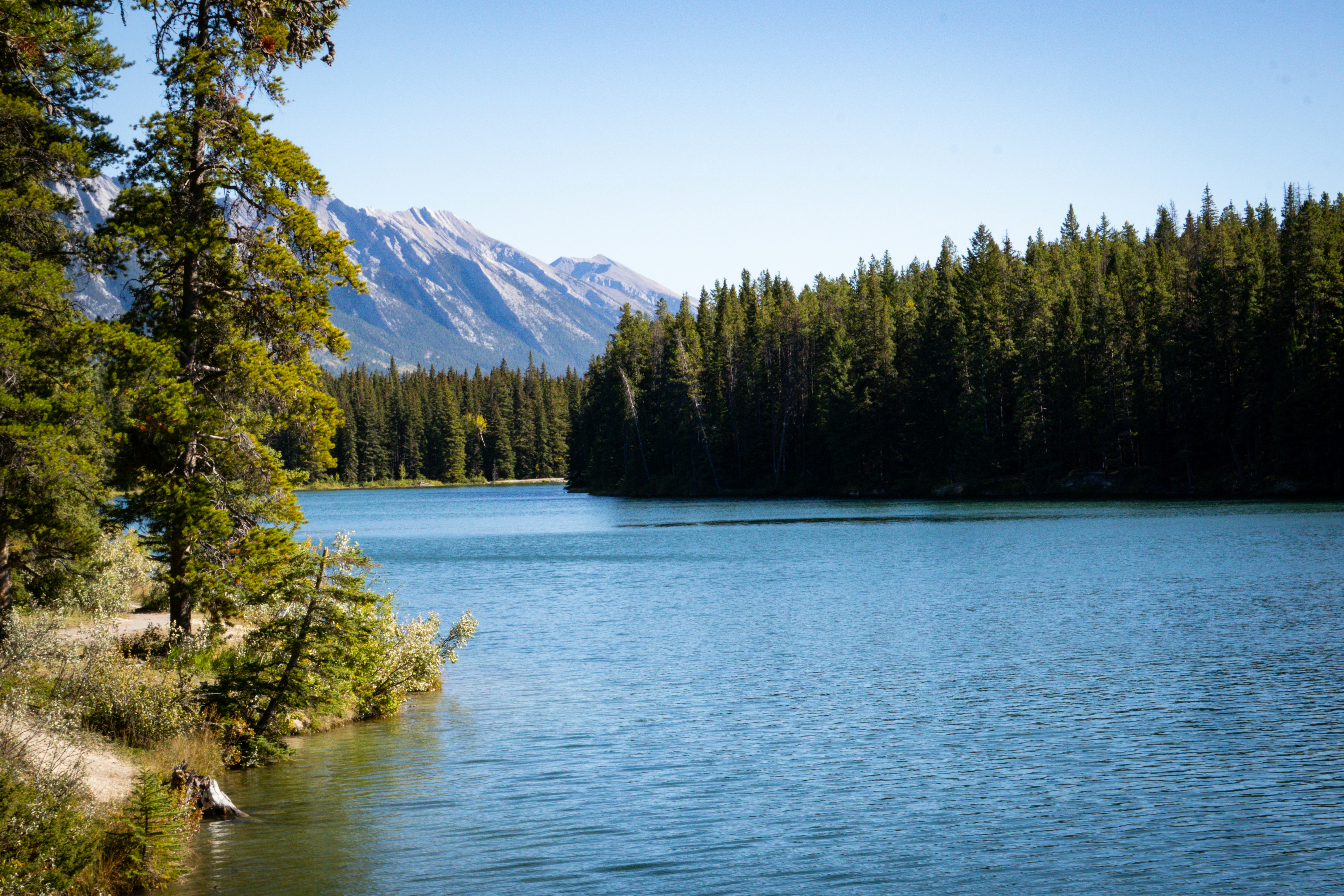 Photo by brettmayson