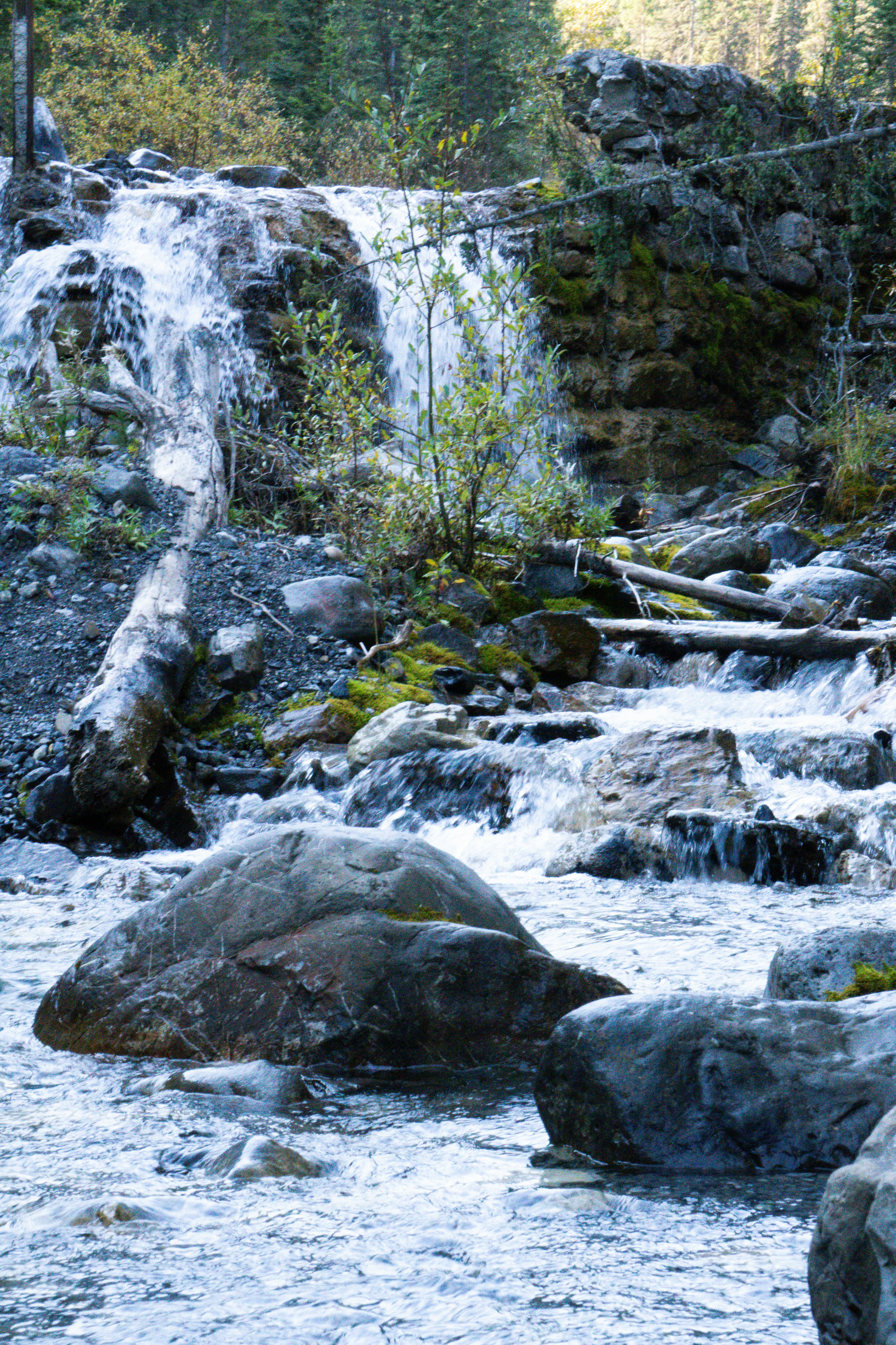 Photo by brettmayson