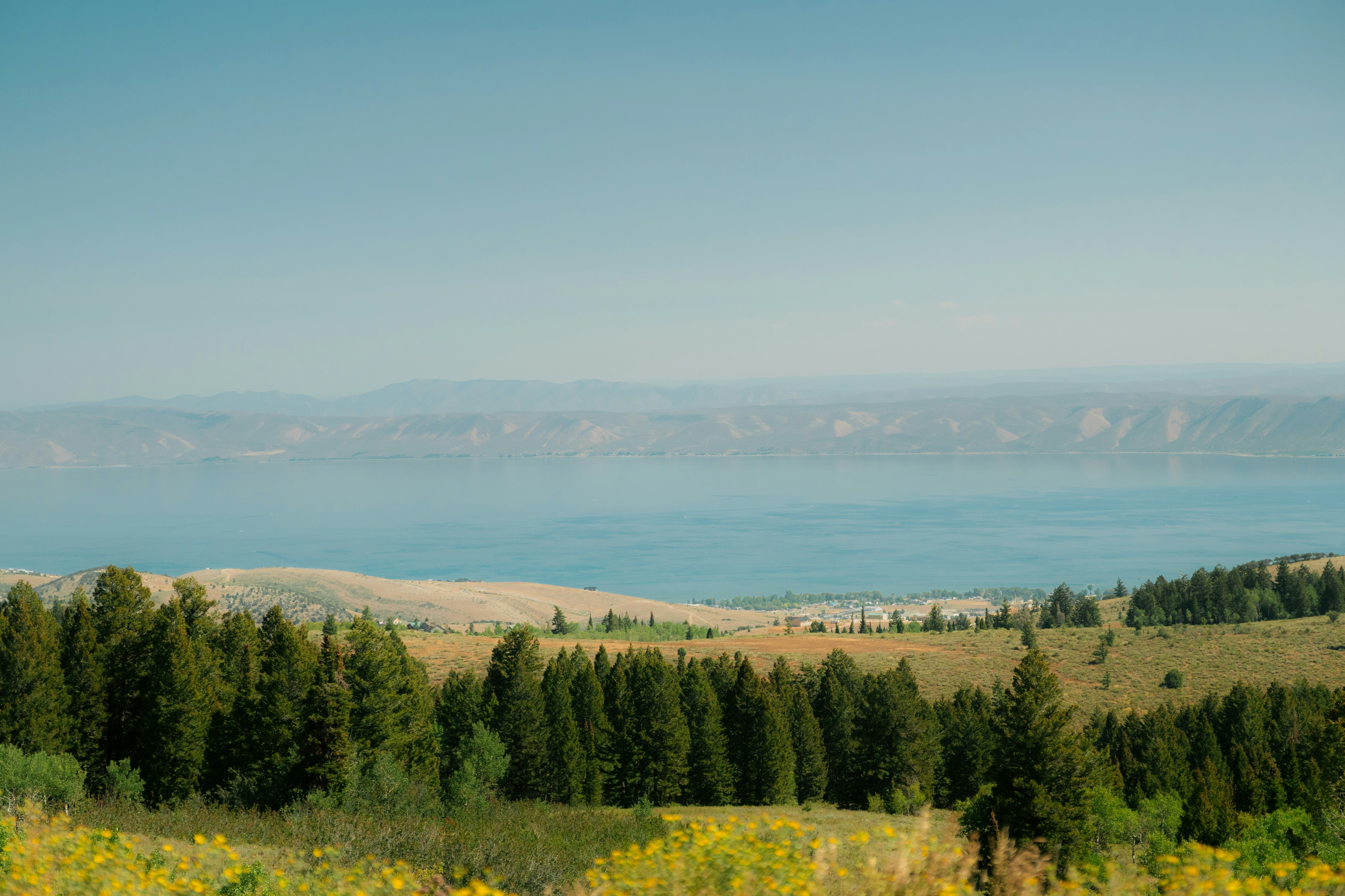 Photo by wonderwallphotos