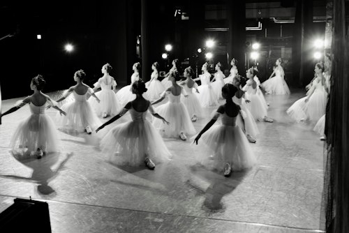 Large ensemble of ballerinas in white tutus performing on a lit stage