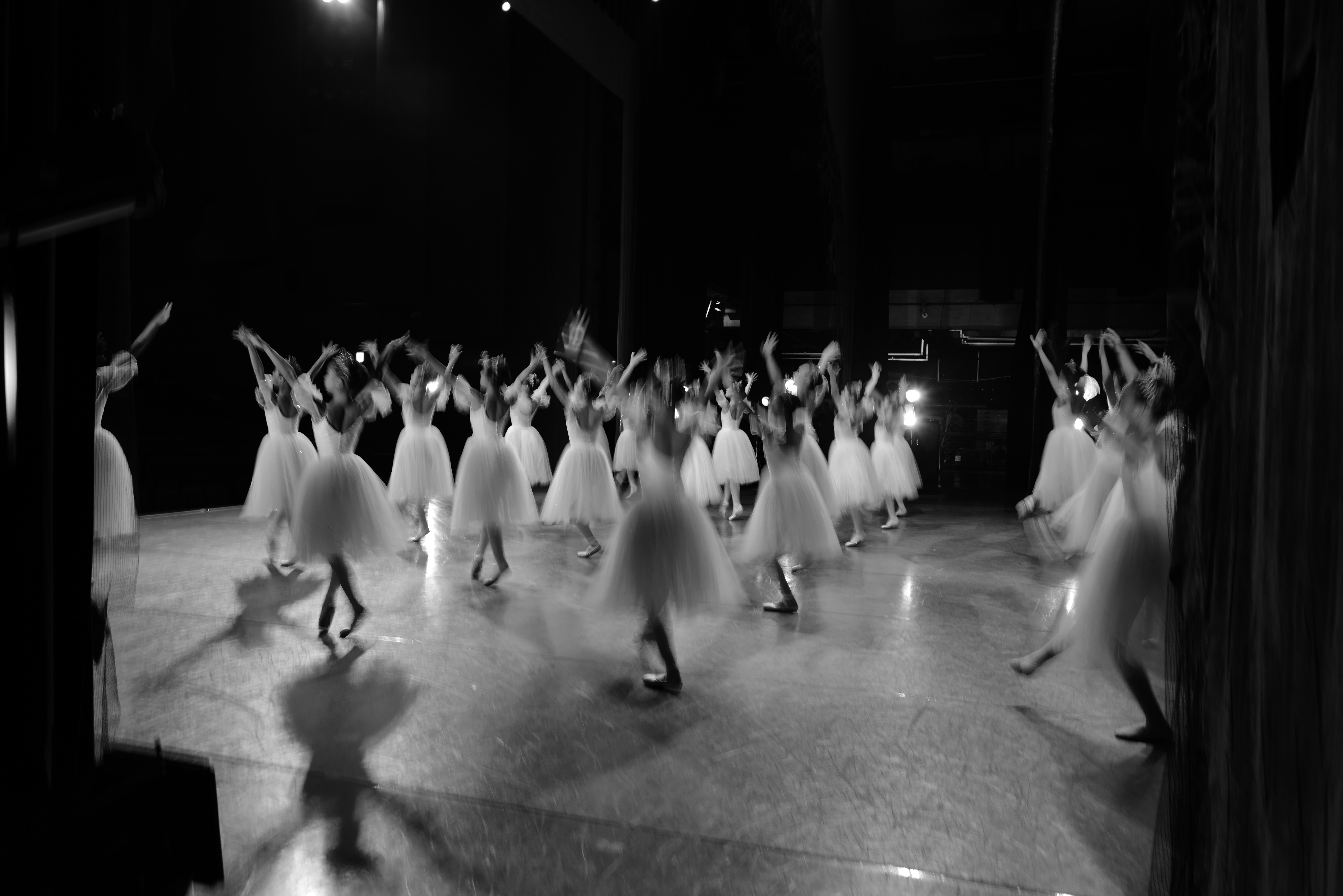 A group of ballerinas performing