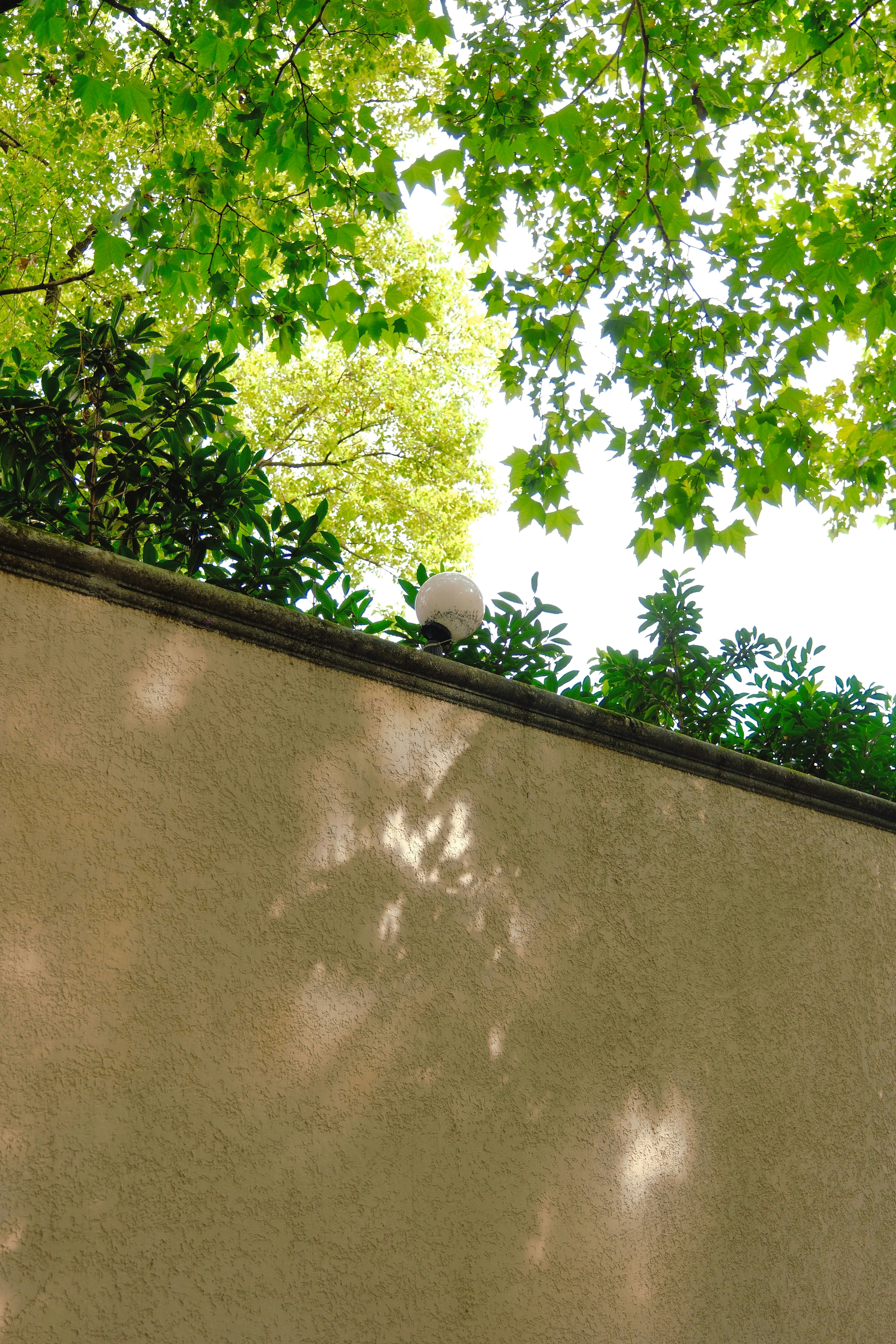 Photo by yangzhuoyue