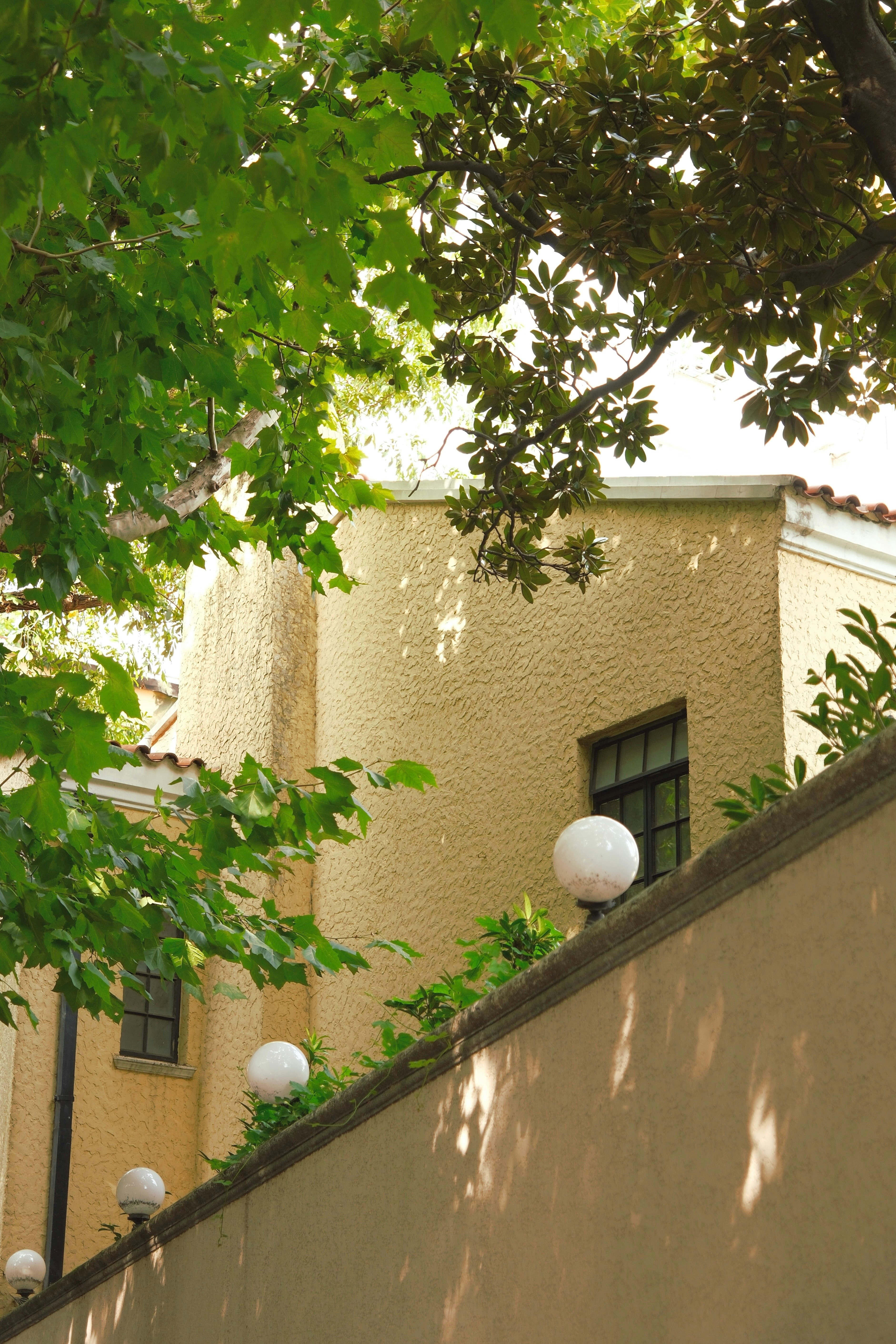 Photo by yangzhuoyue