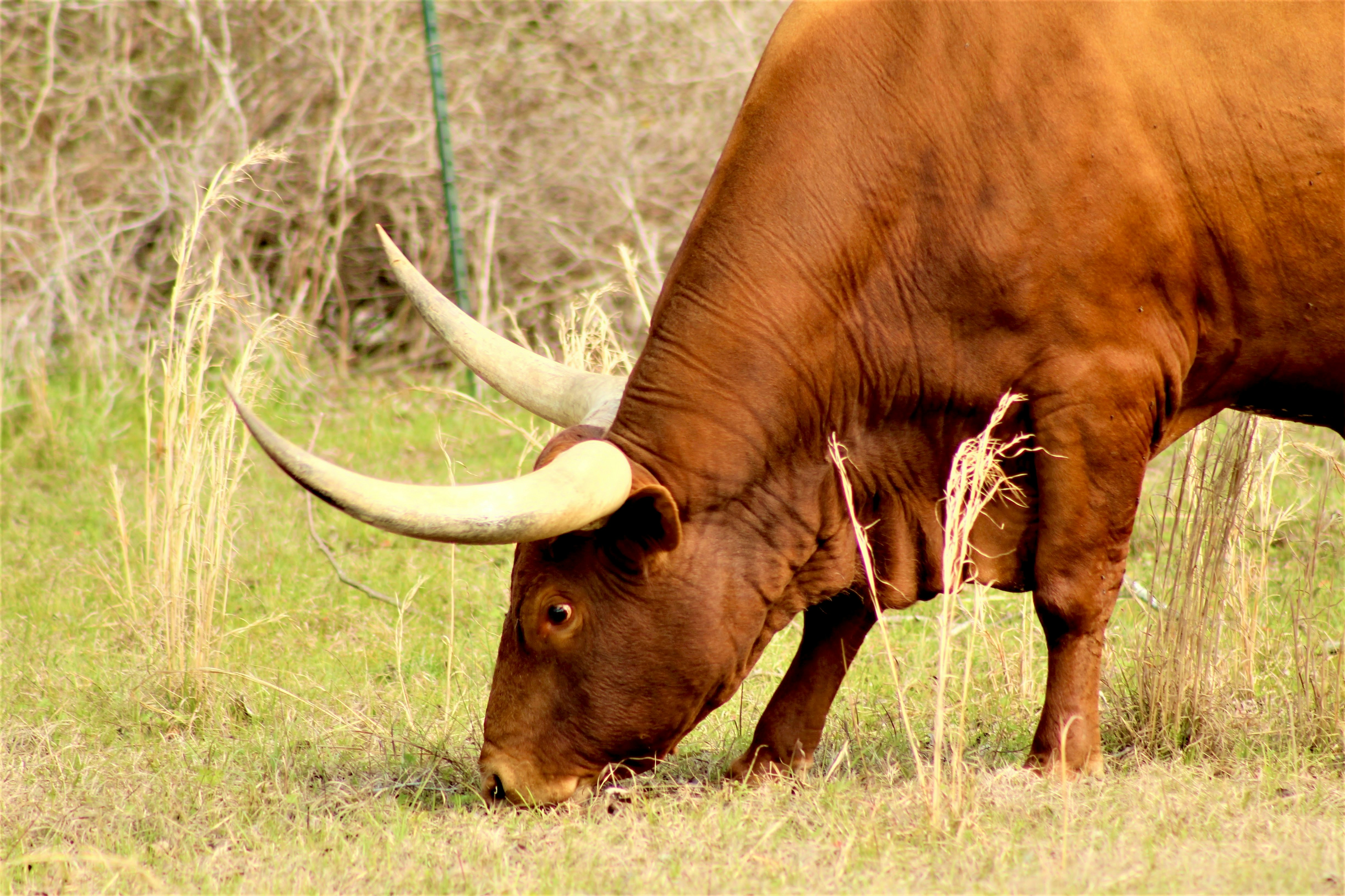 Photo by byheatherdoty