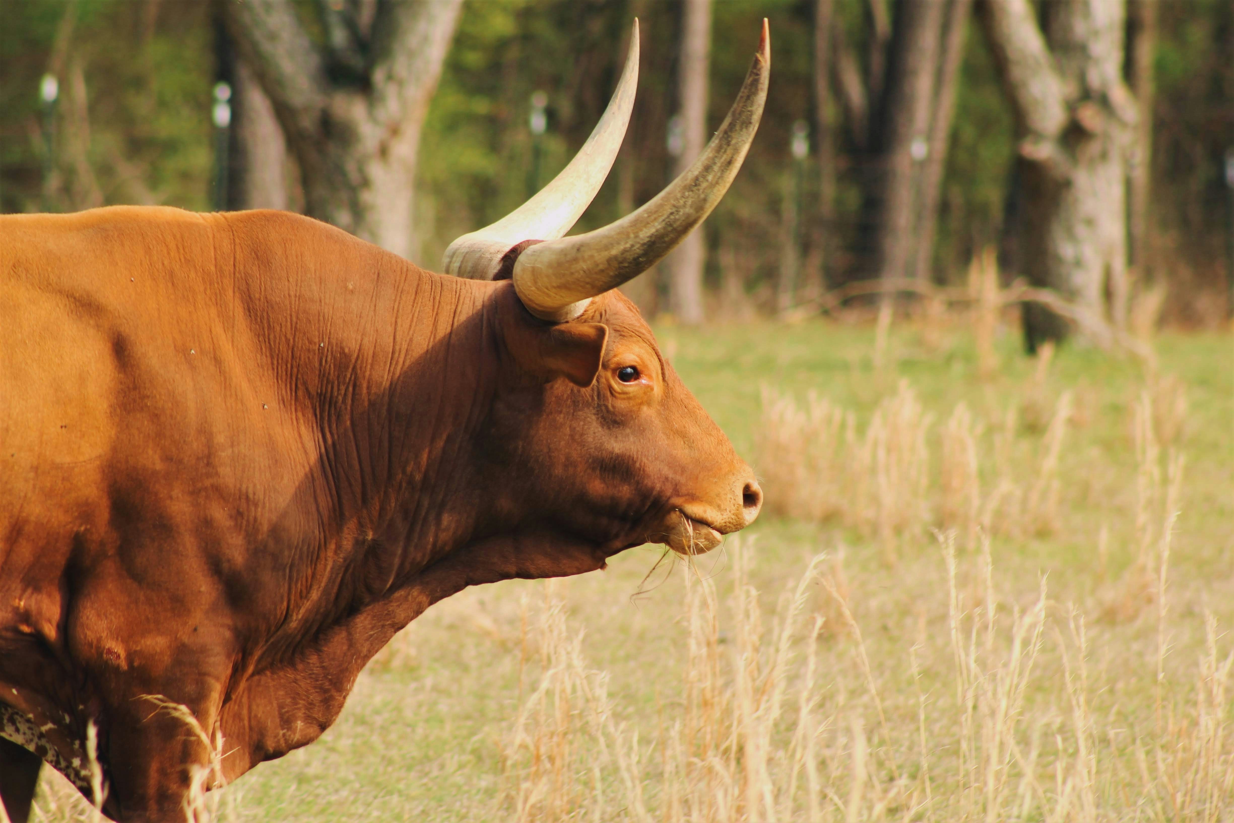 Photo by byheatherdoty