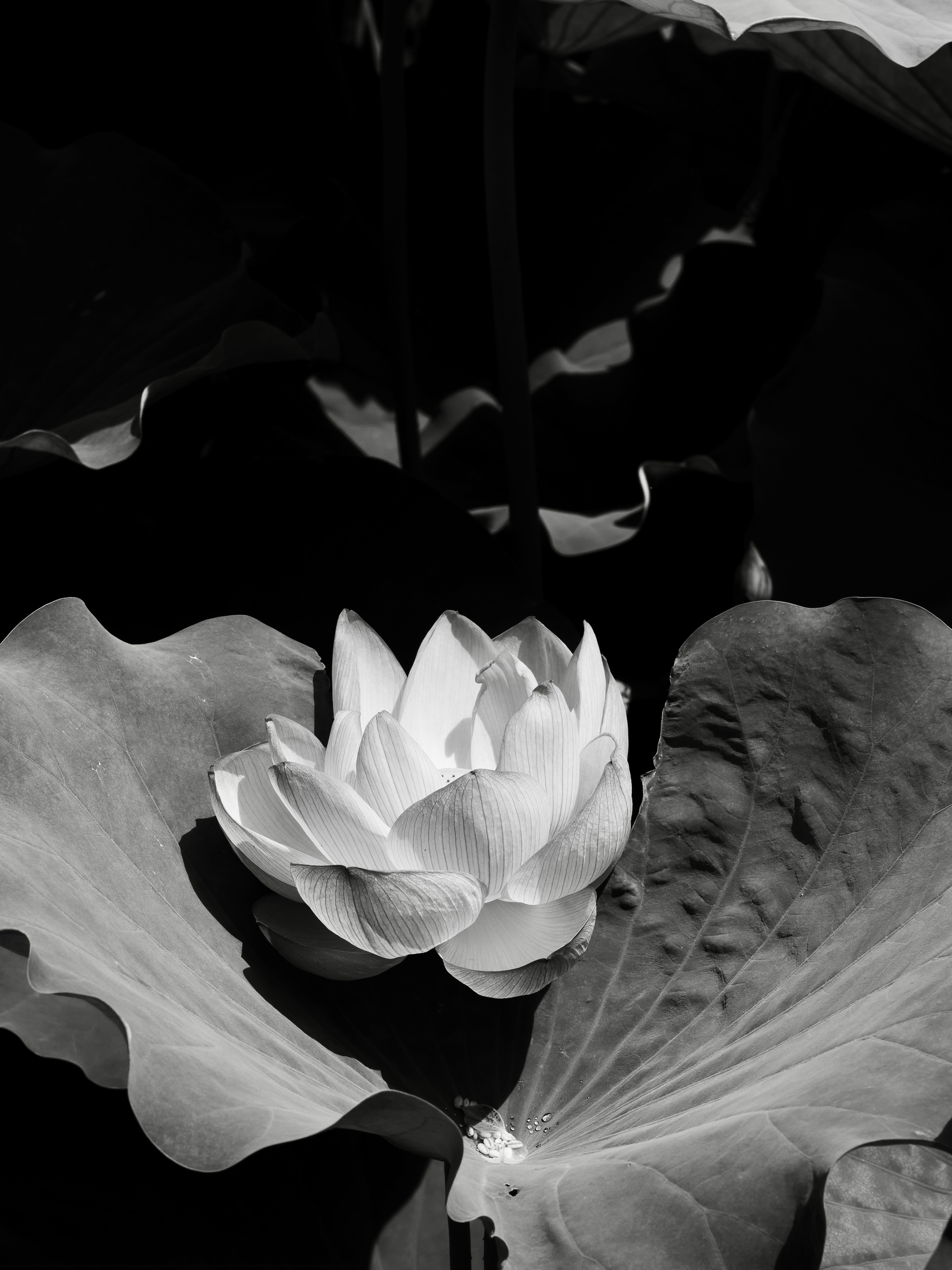 Photo by sschusterphotoart