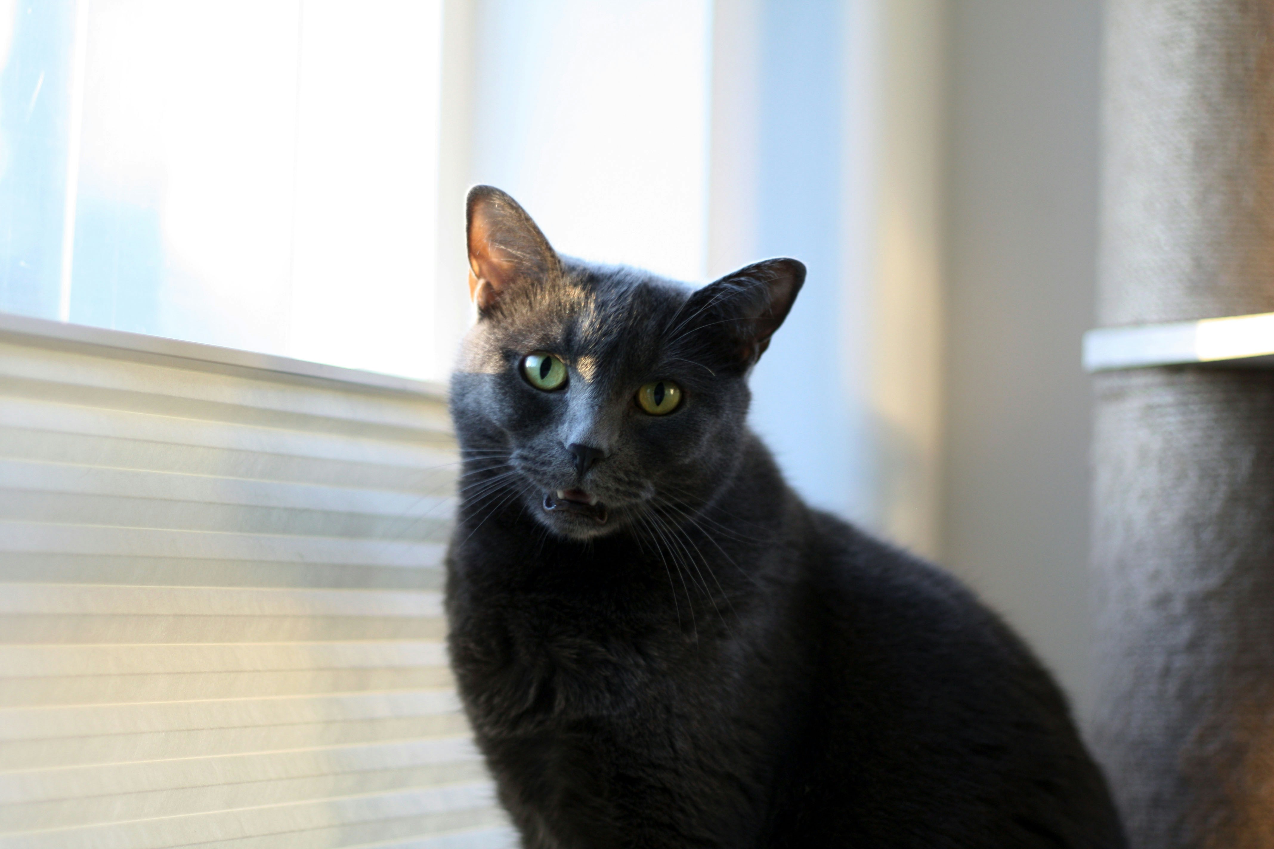 Photo by meghan_gordon