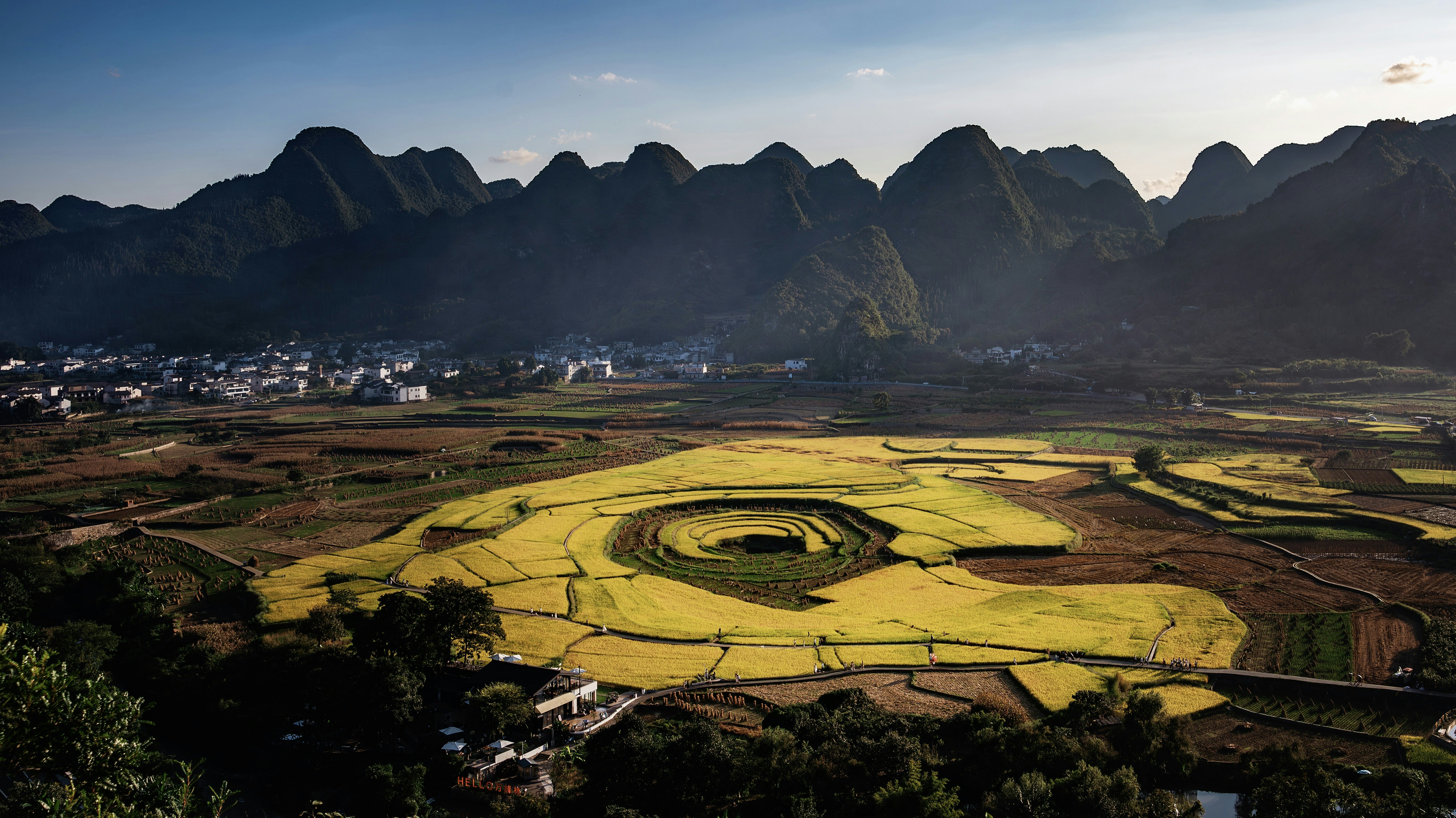 Golden rice fields surround a village with mountains.