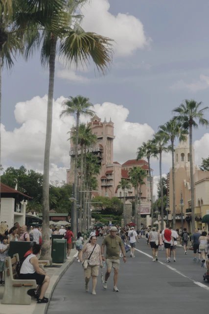 People walk down a street lined with palm trees.in Florida