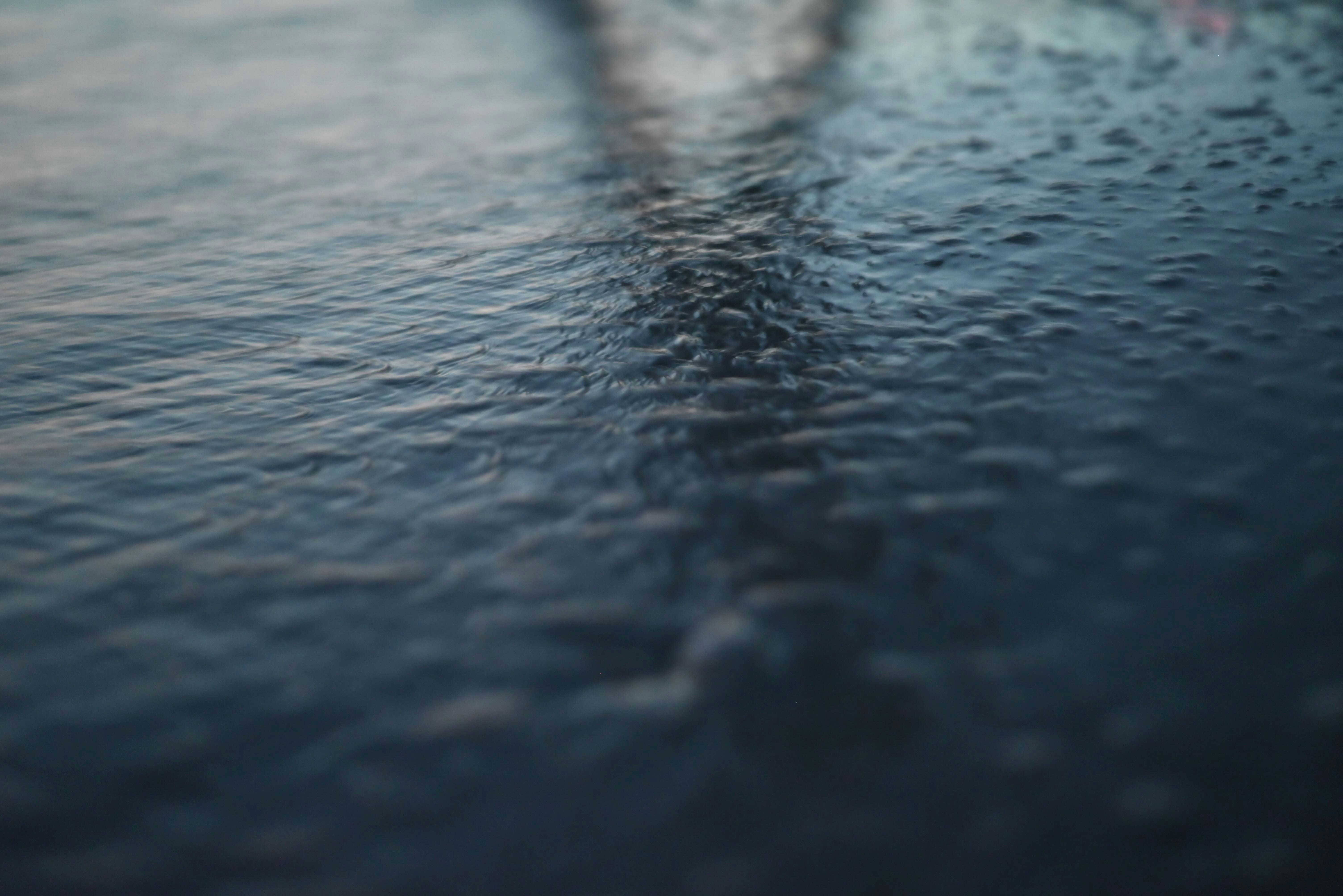 Photo by elliott_colburn_photos777