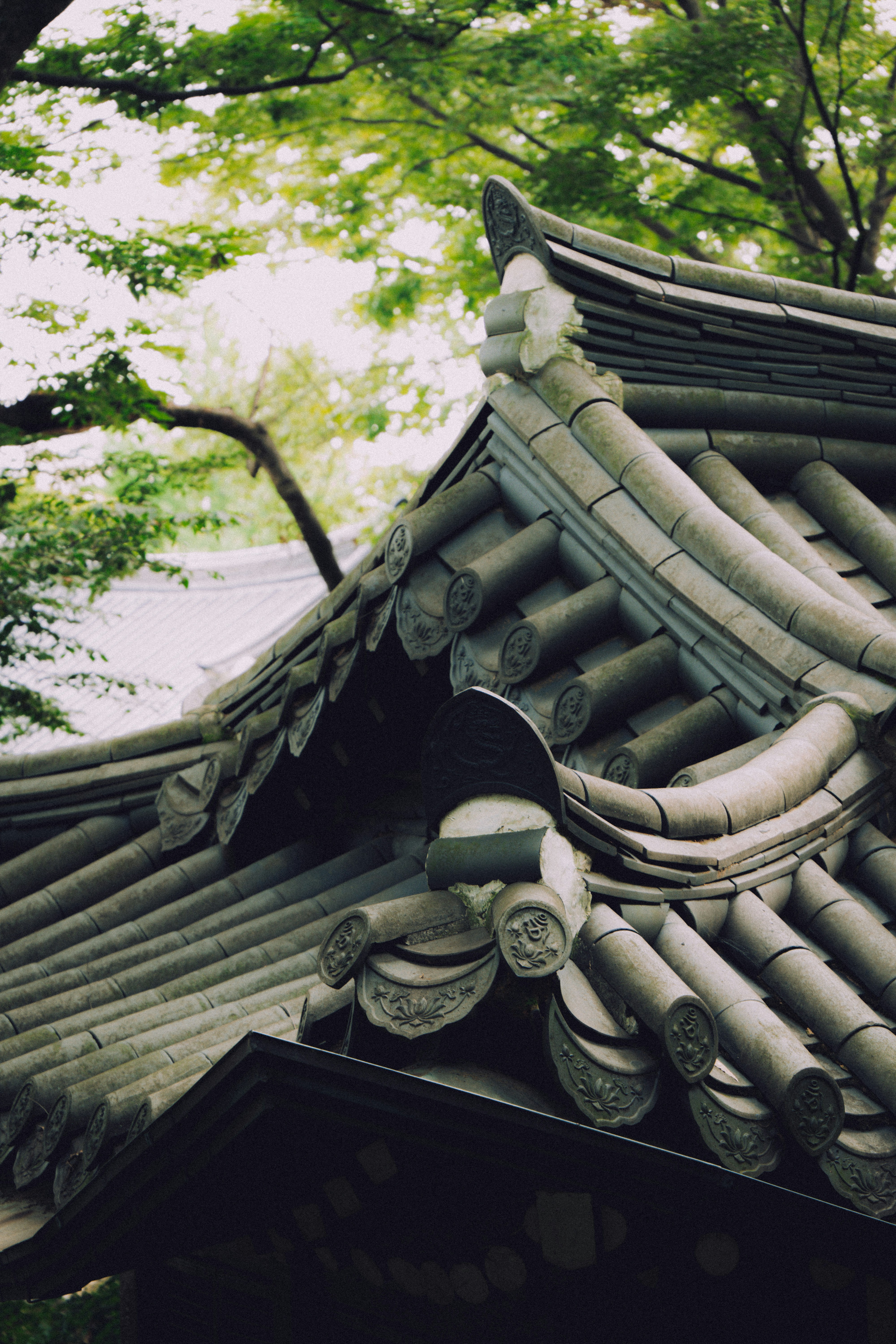 Photo by brother_yoon