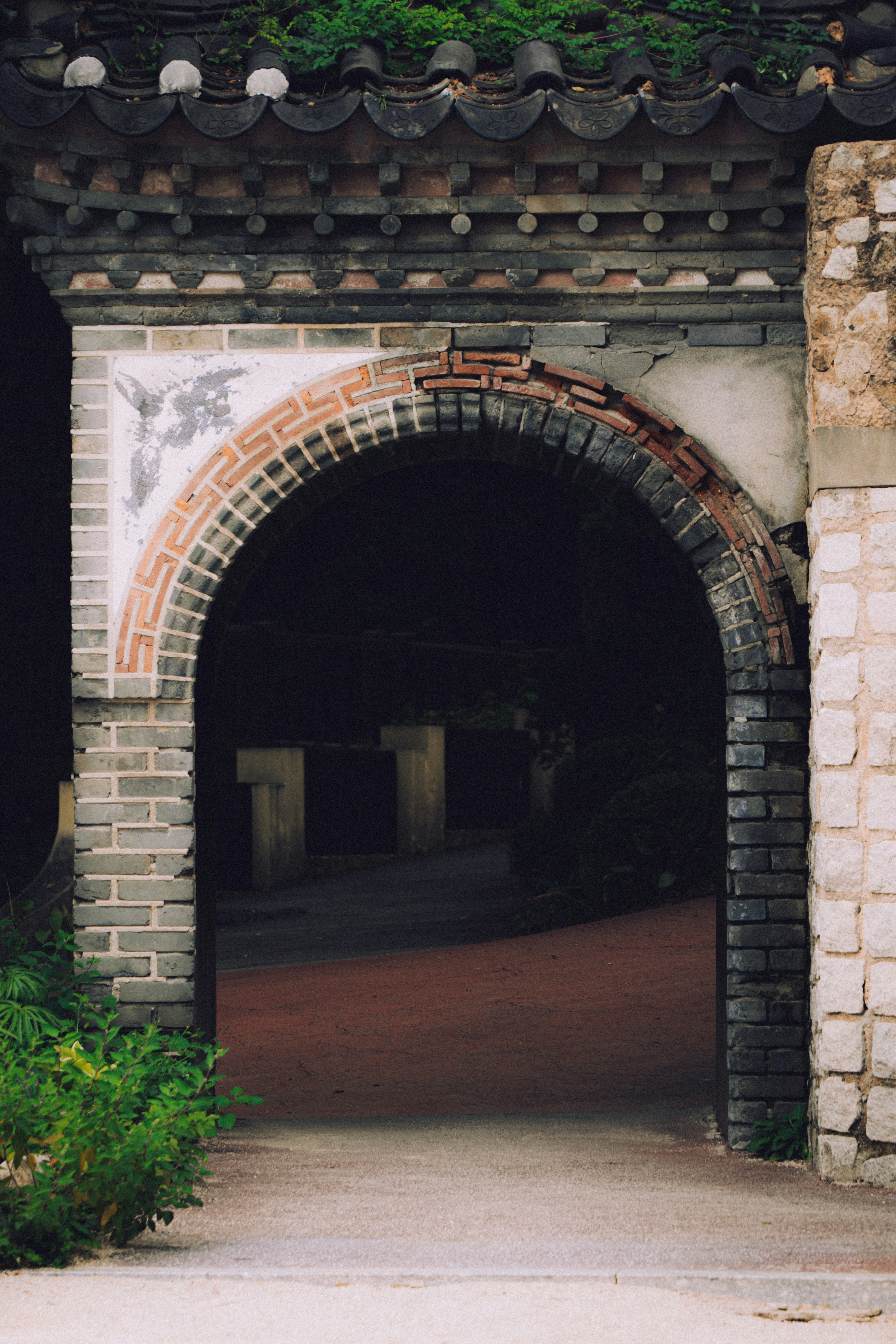 Photo by brother_yoon