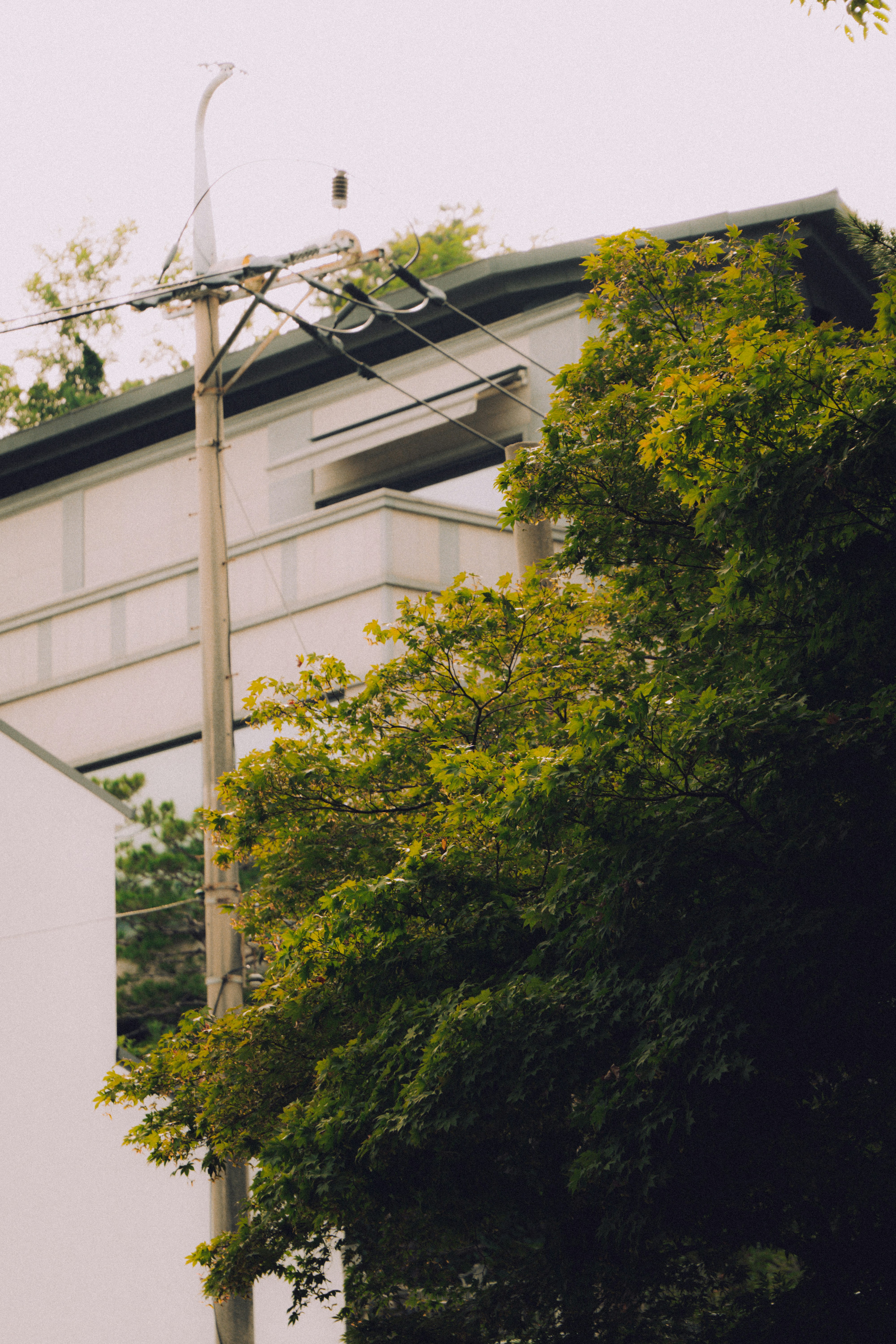 Photo by brother_yoon