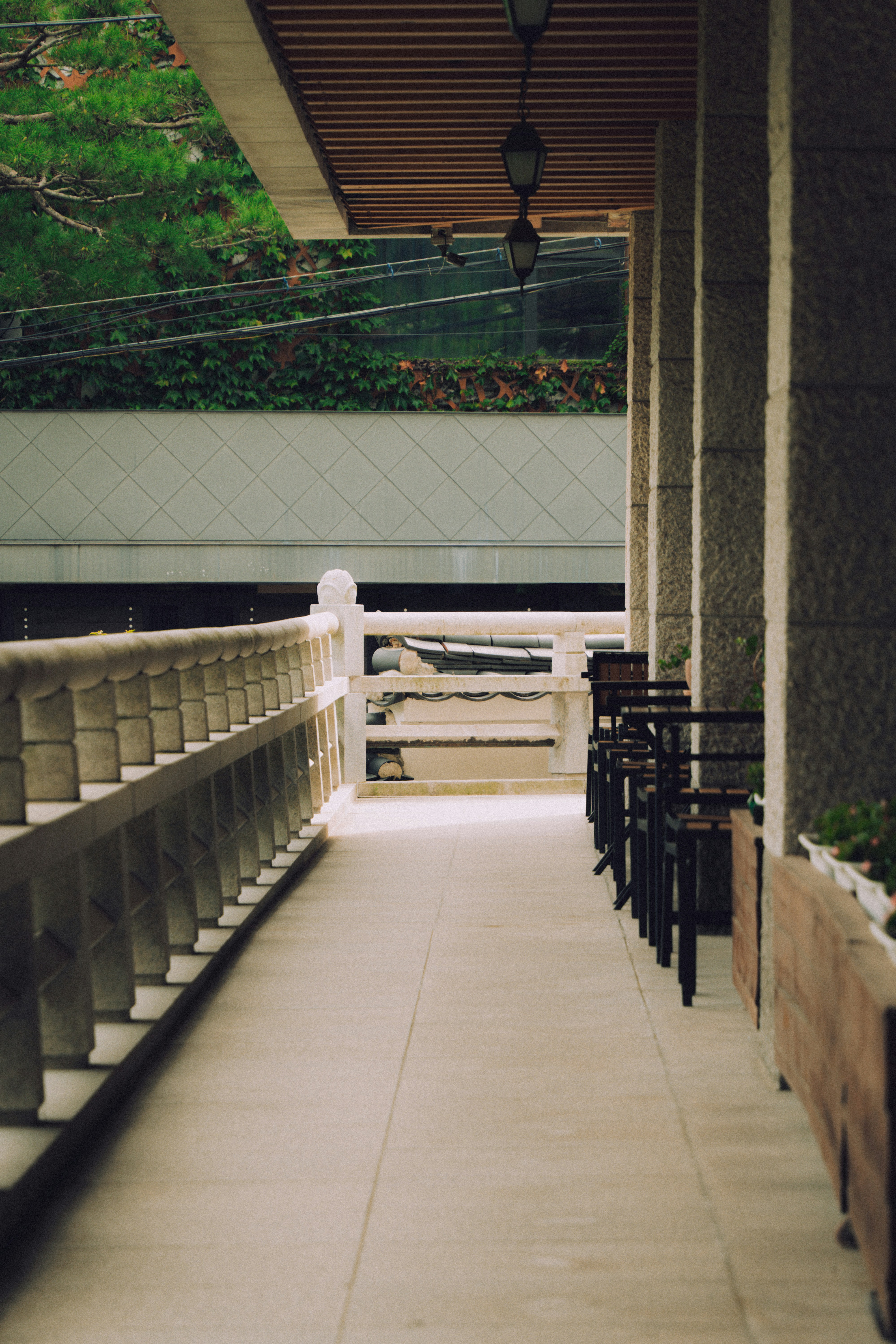 Photo by brother_yoon