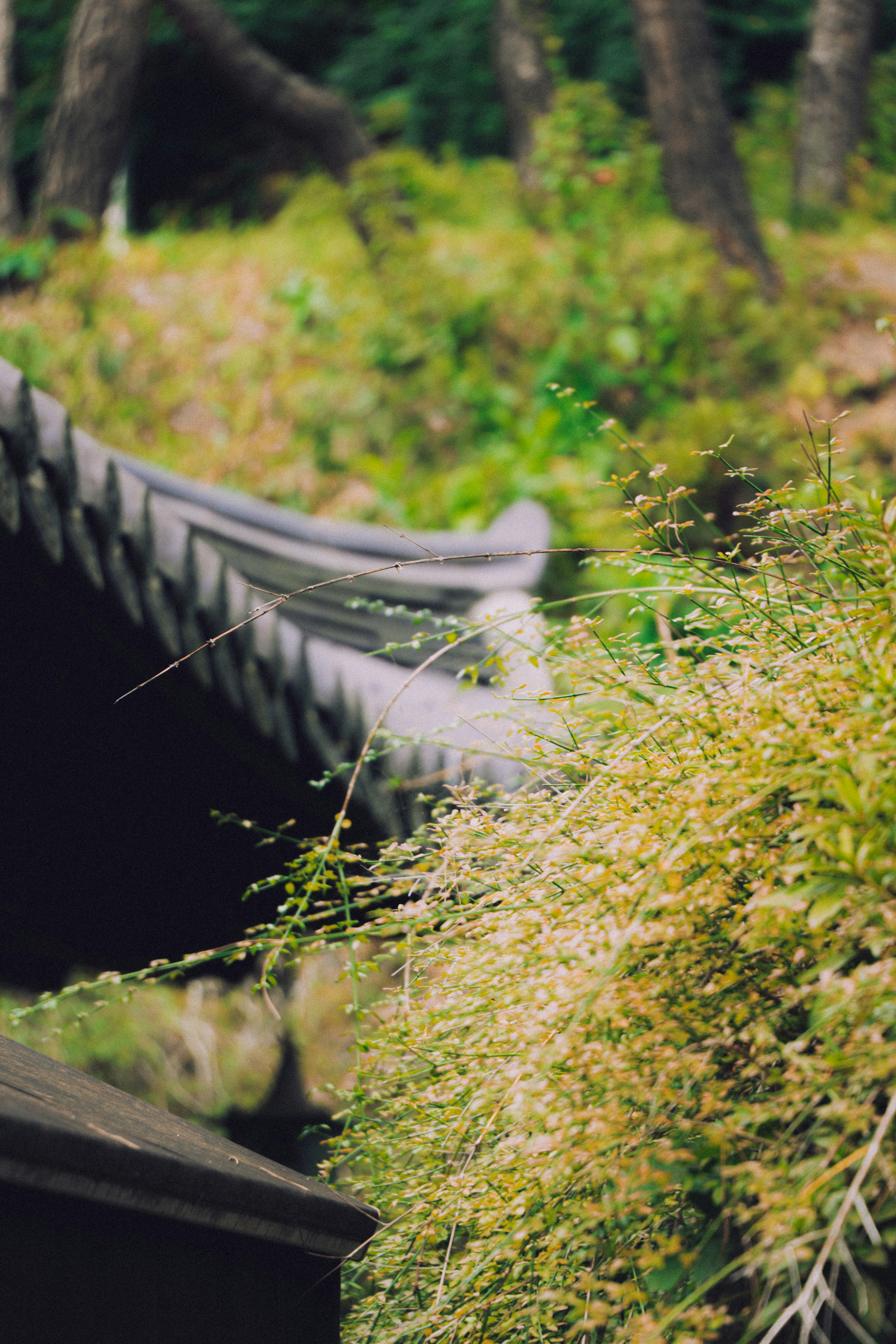 Photo by brother_yoon