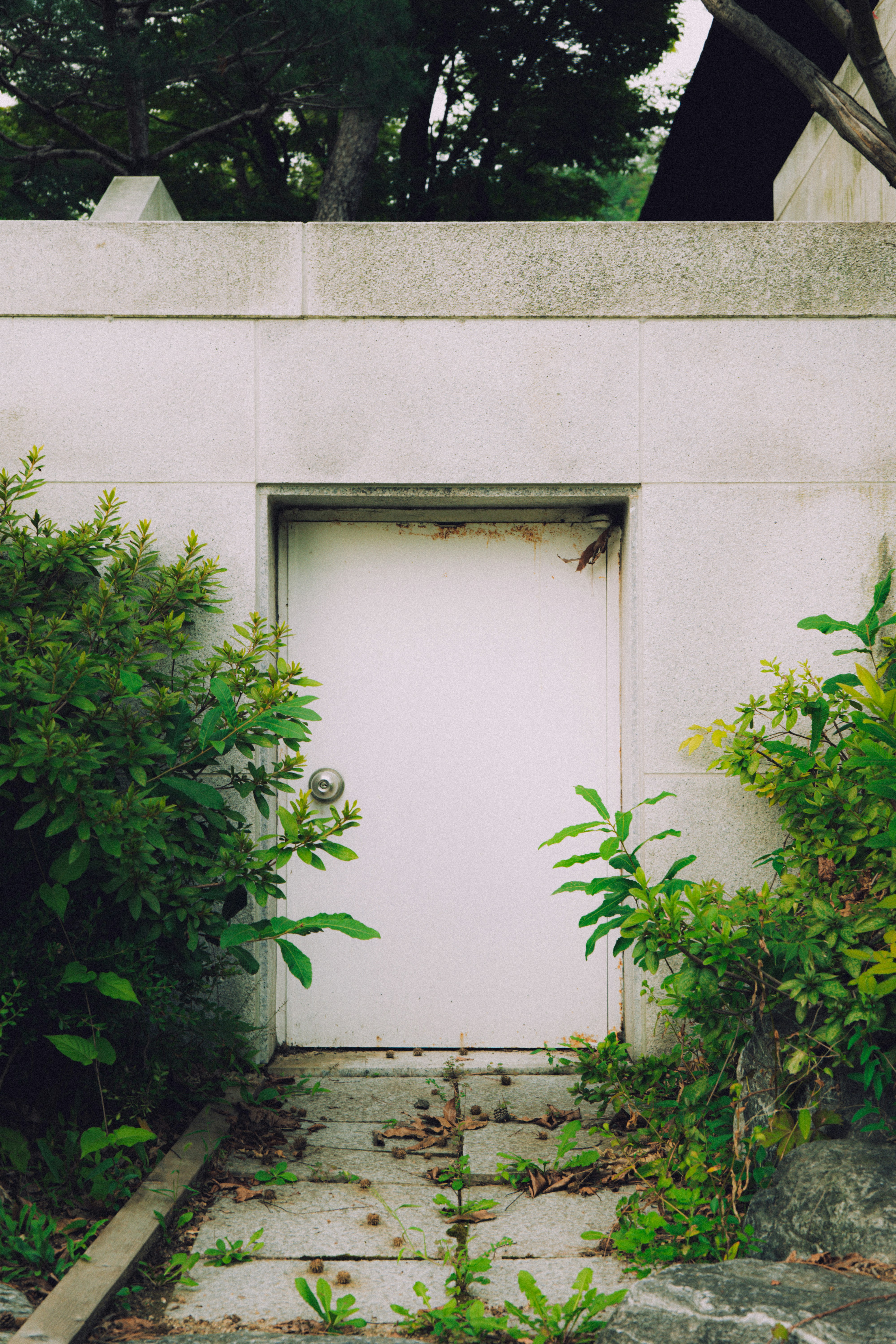 Photo by brother_yoon