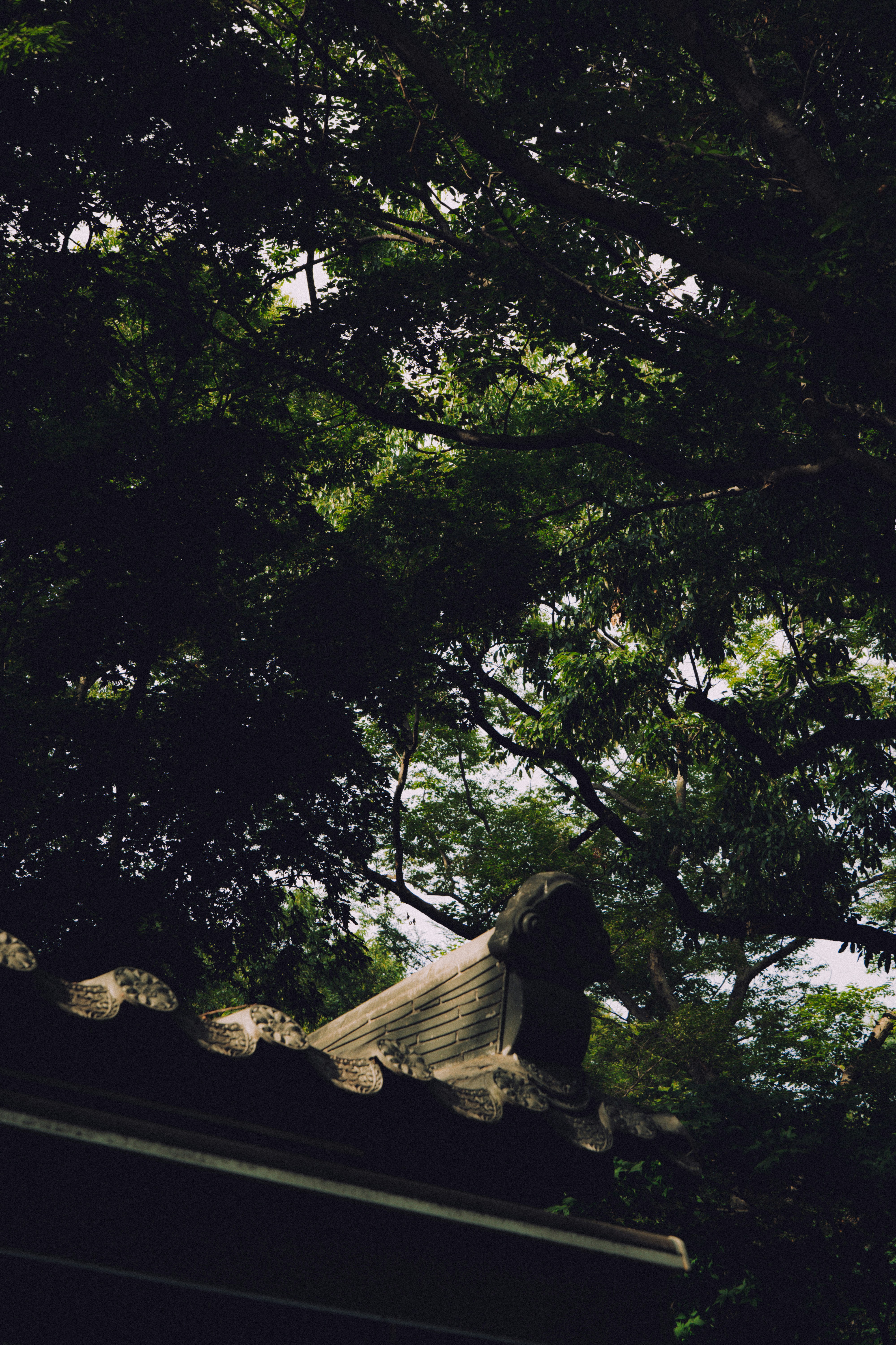 Photo by brother_yoon