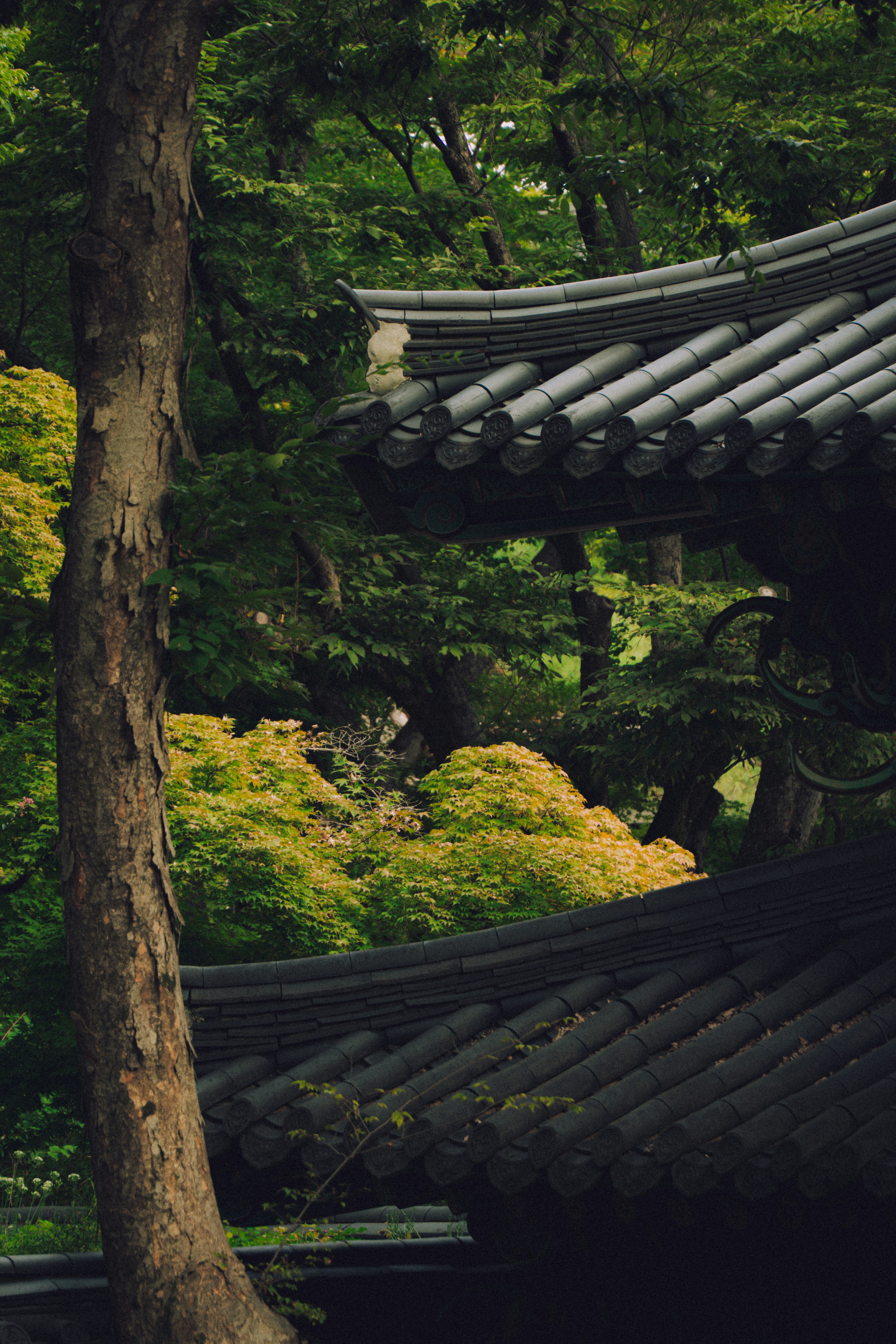 Photo by brother_yoon