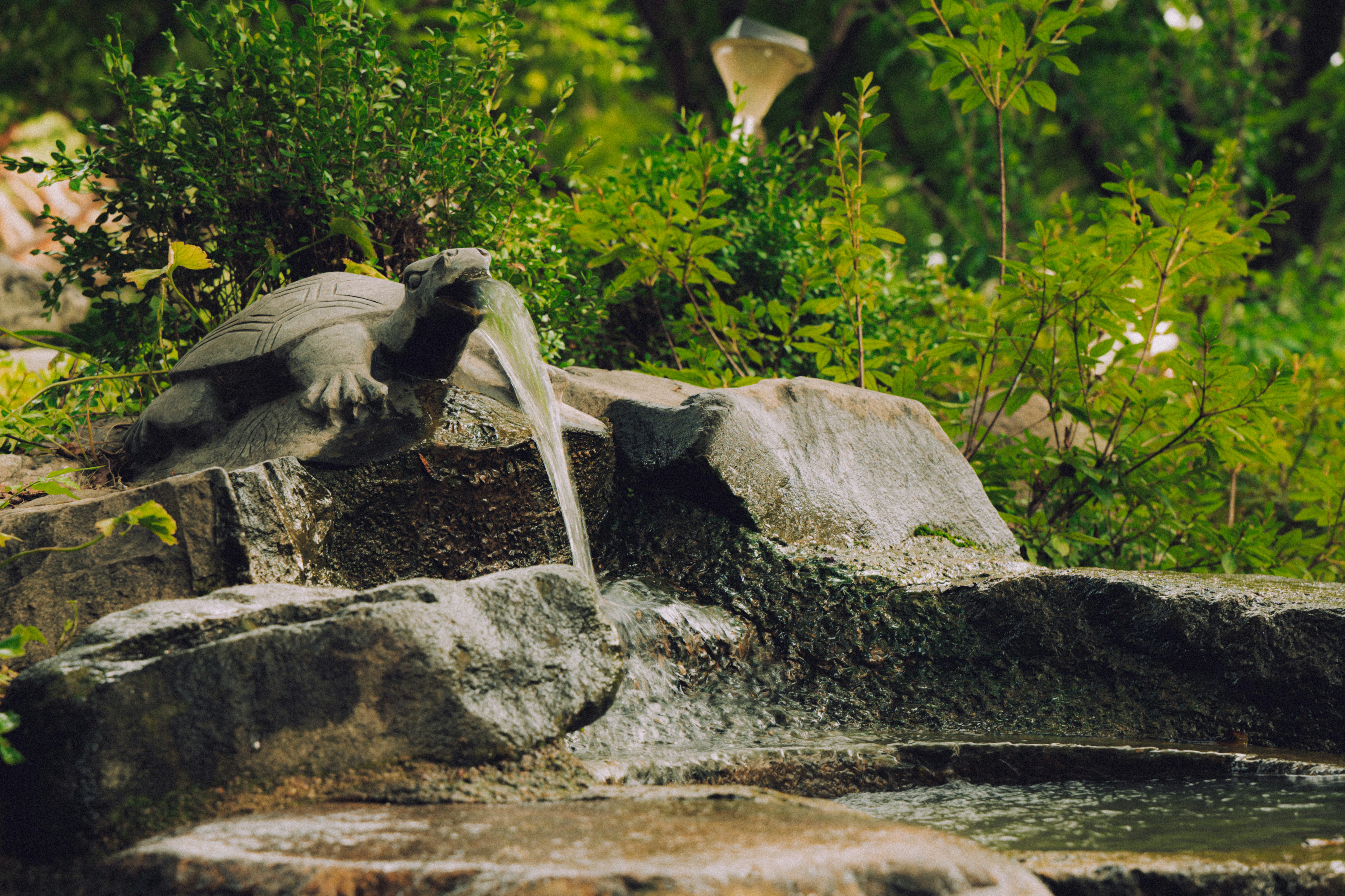 Photo by brother_yoon