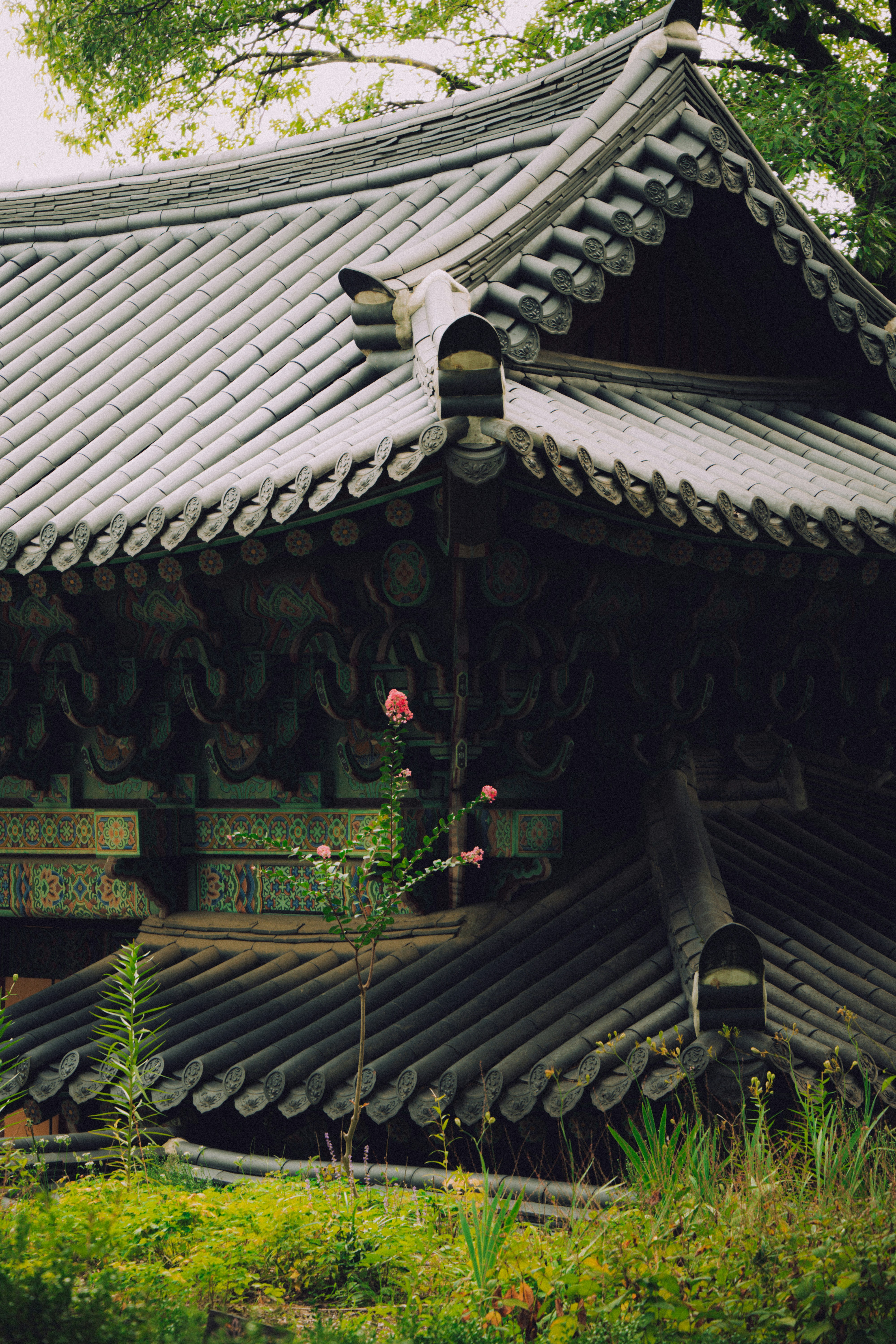 Photo by brother_yoon