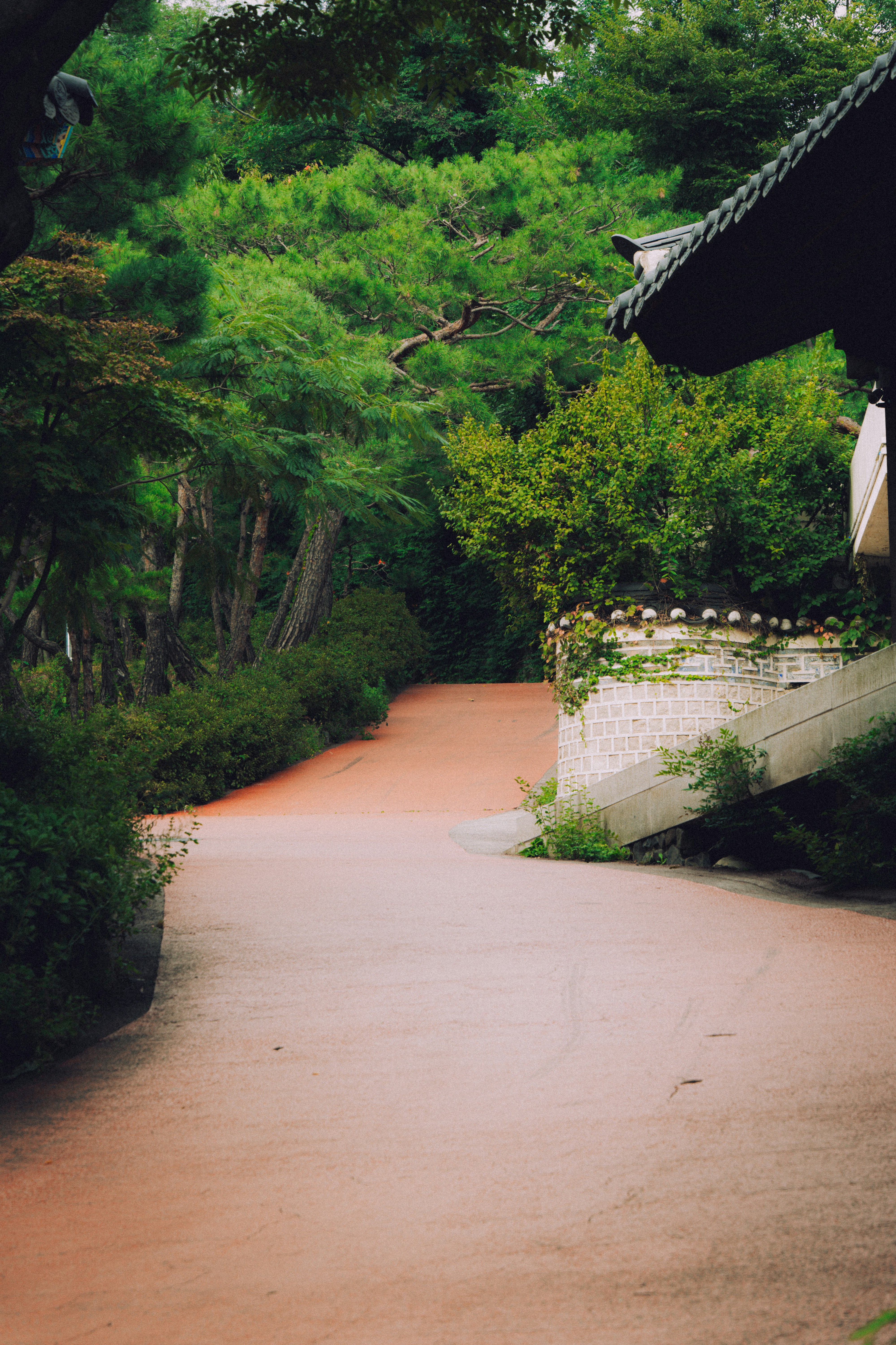 Photo by brother_yoon