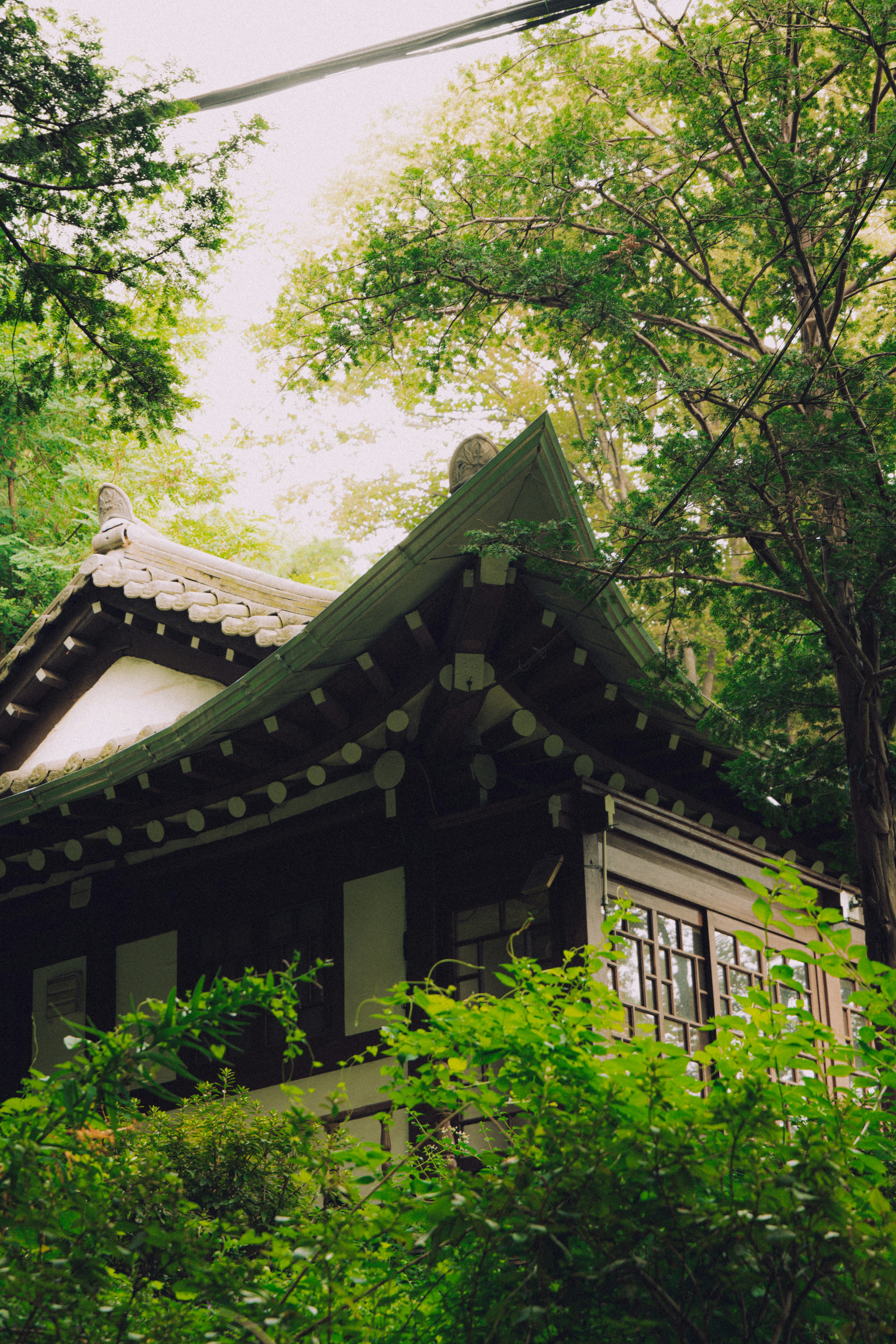 Photo by brother_yoon