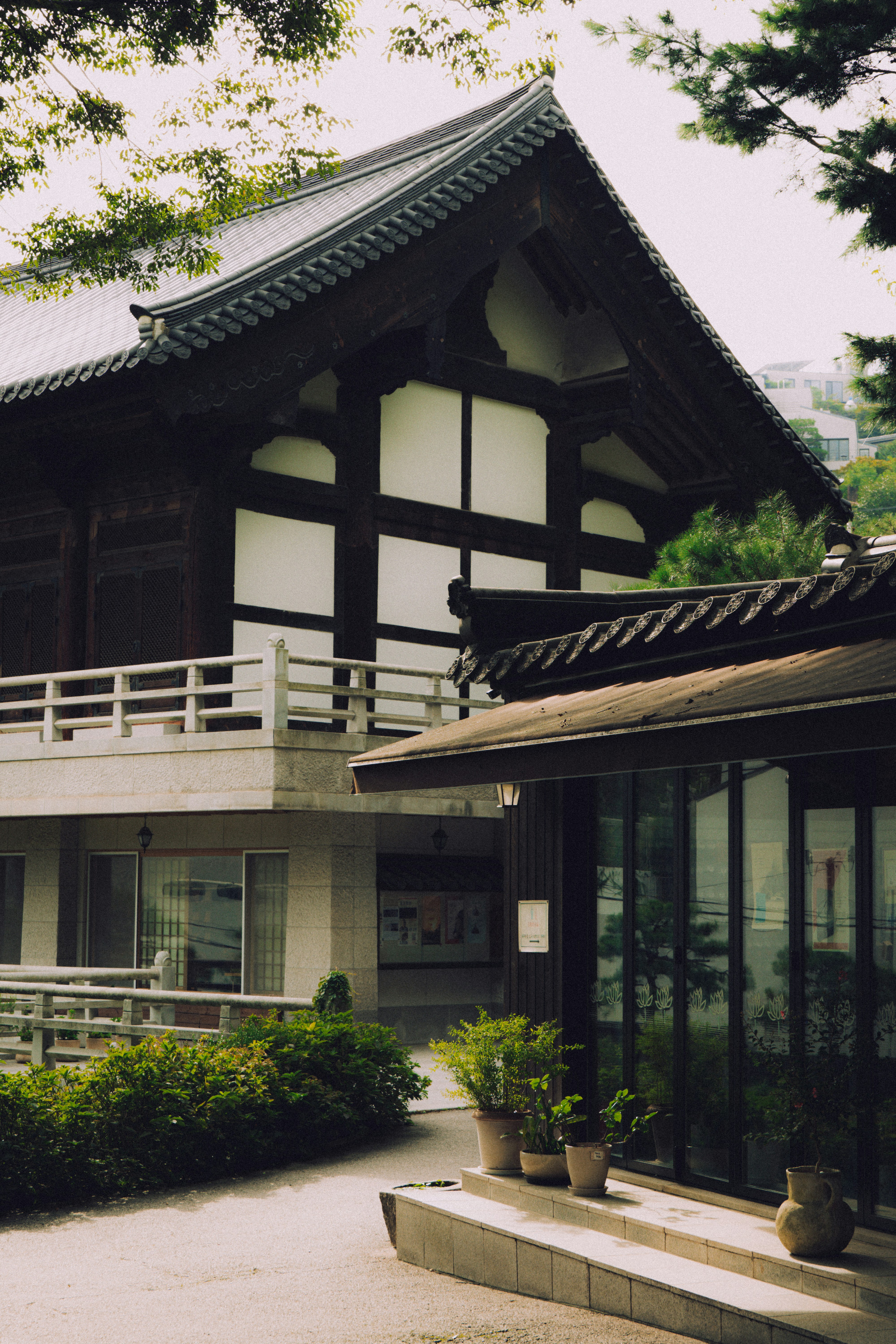 大徳寺禅体験