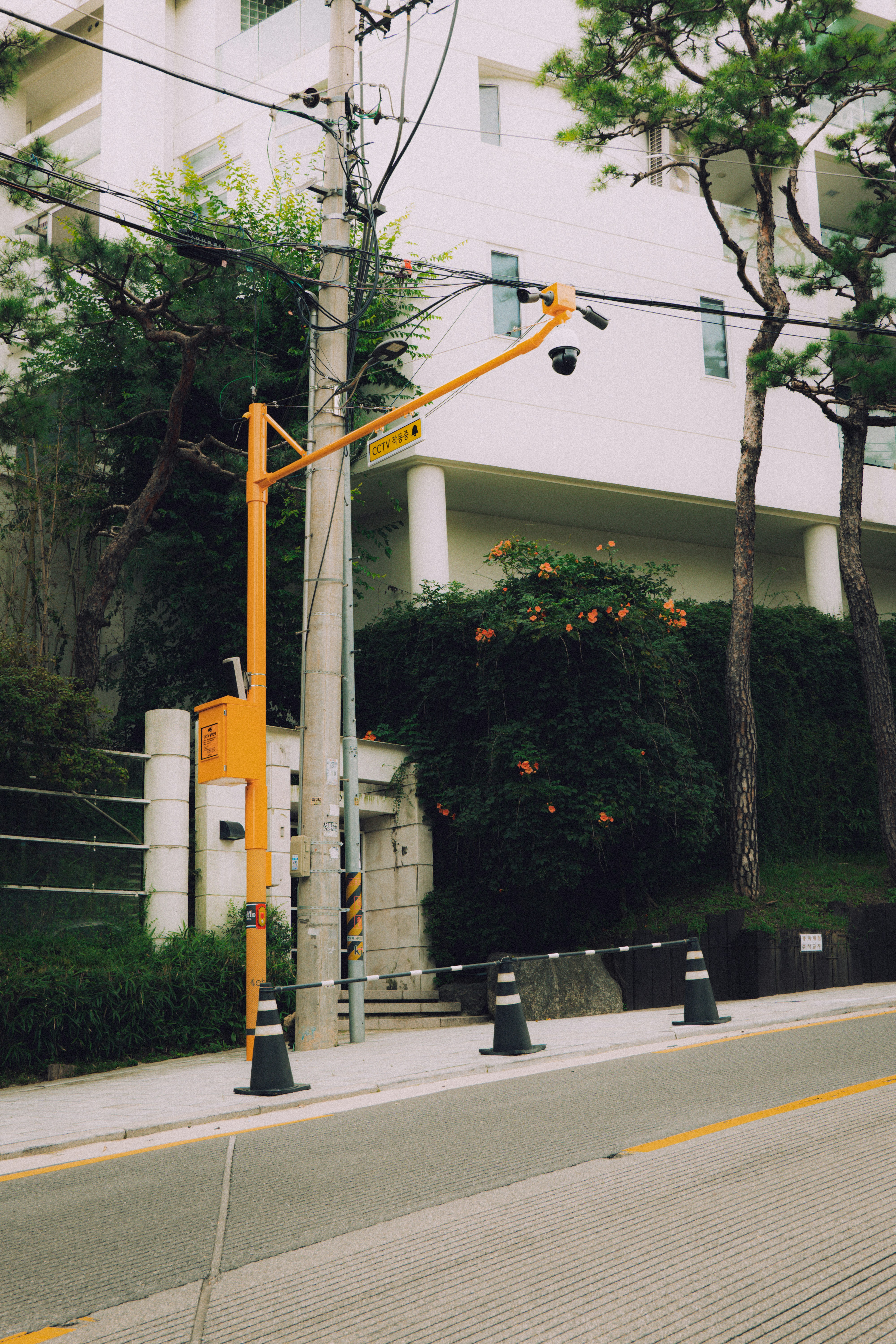 Photo by brother_yoon