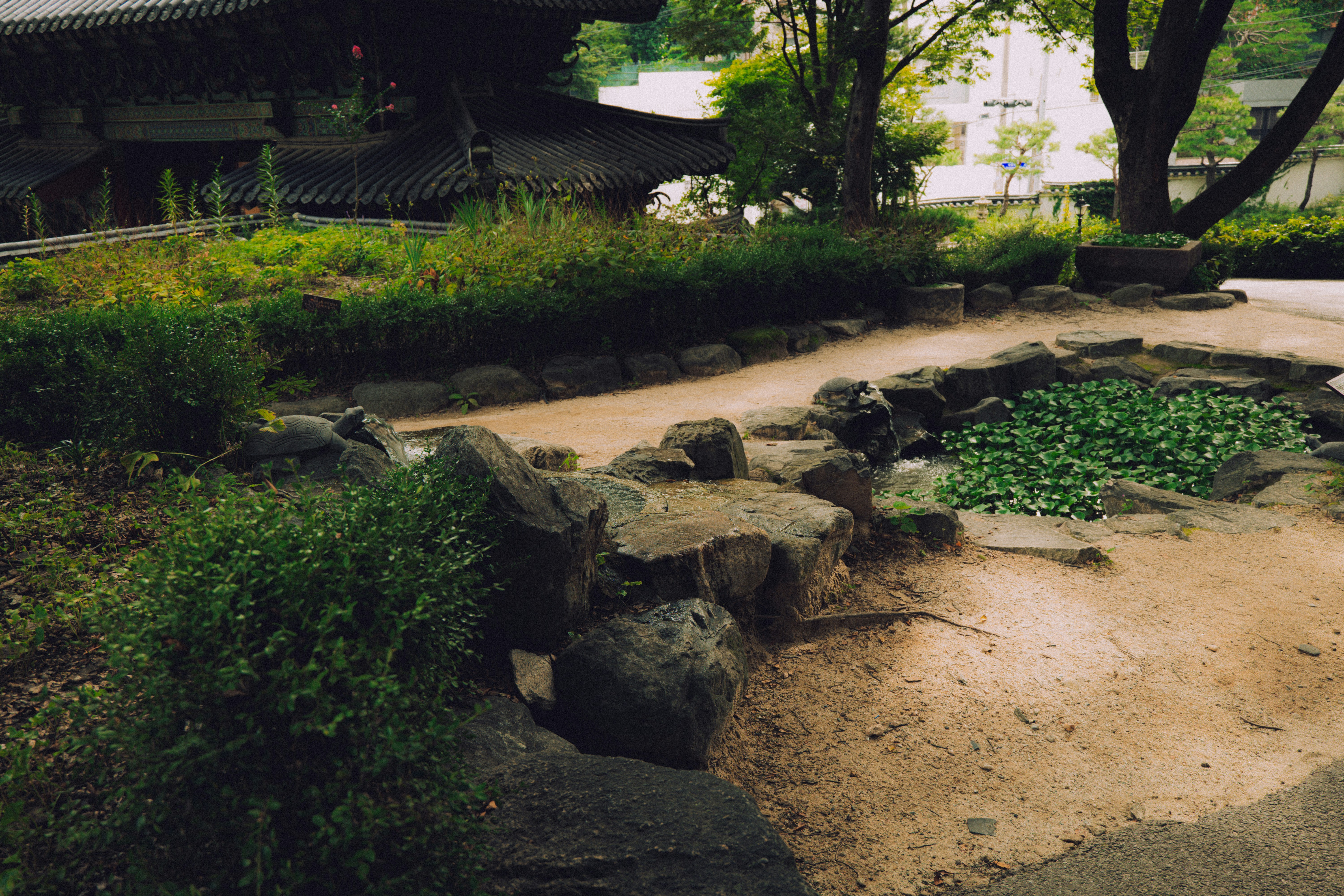 Photo by brother_yoon