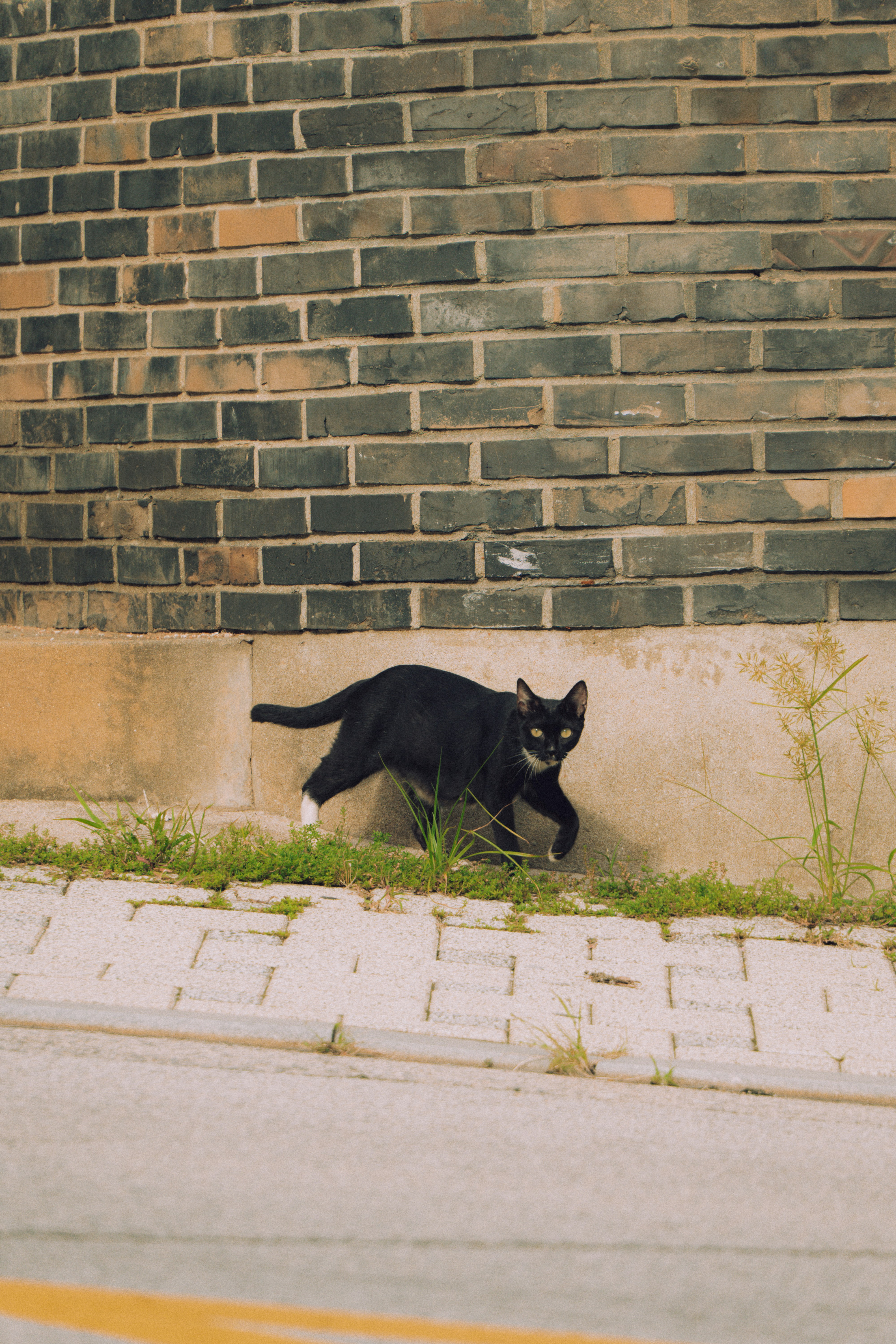 Photo by brother_yoon